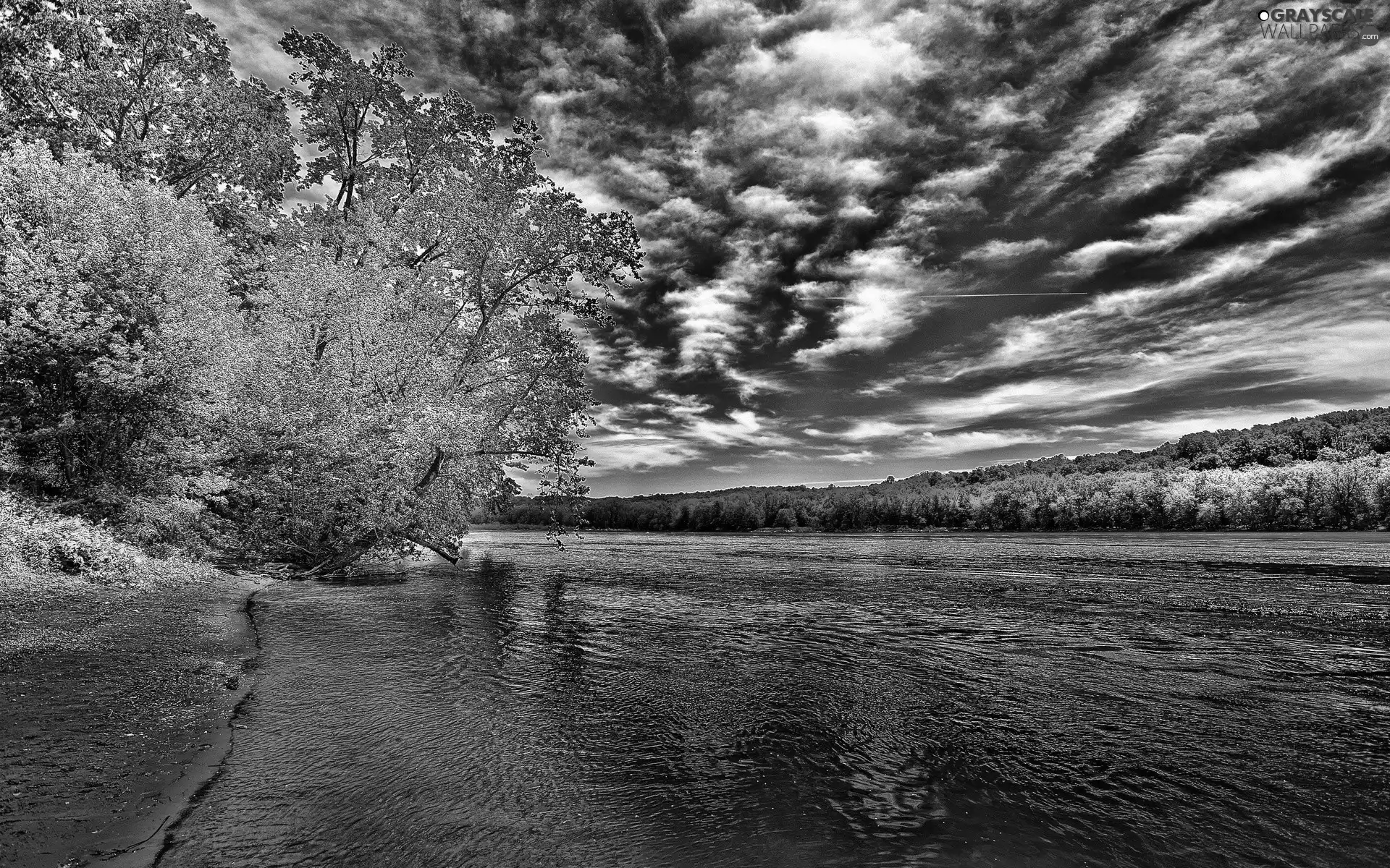 trees, high, clouds, Sky, viewes, River