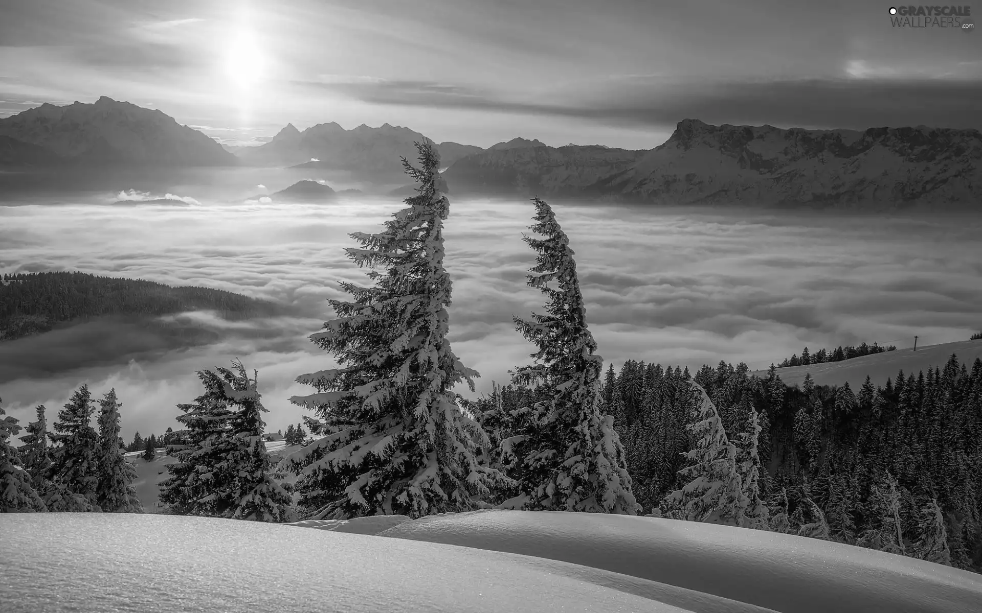 clouds, winter, Fog, snow, Great Sunsets, Mountains, viewes, Spruces, trees