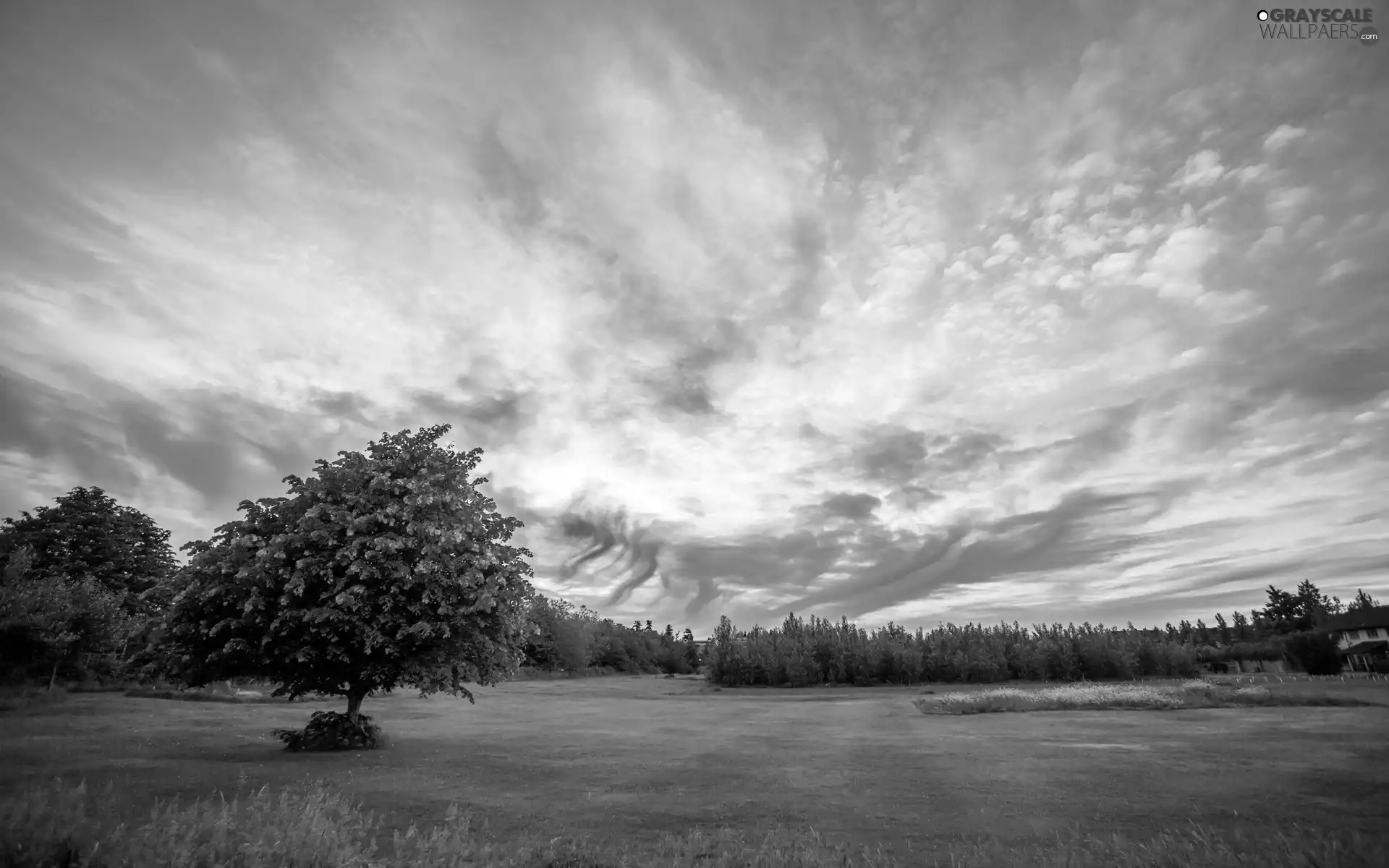 Houses, trees, east, viewes, Meadow, clouds, sun