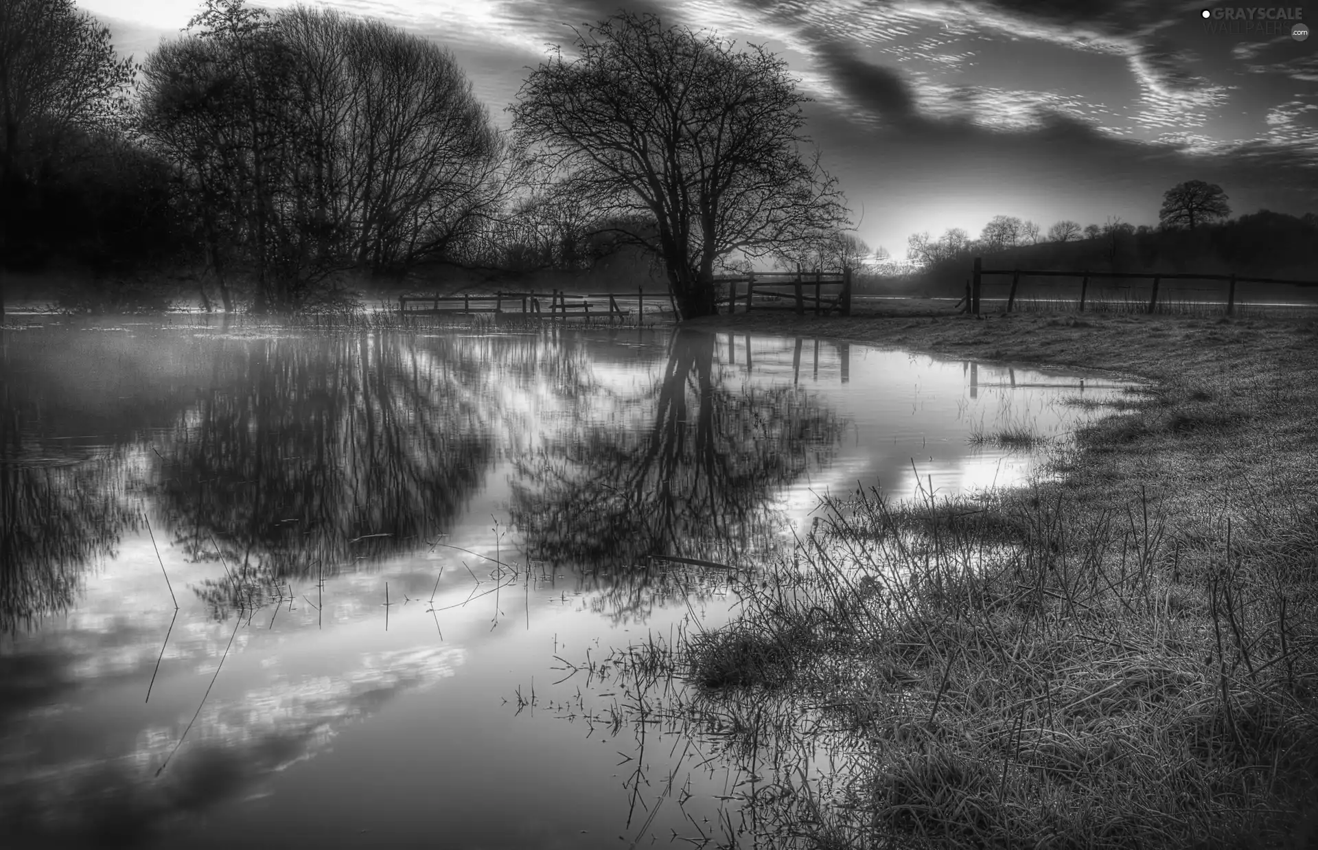 medows, trees, west, viewes, River, clouds, sun