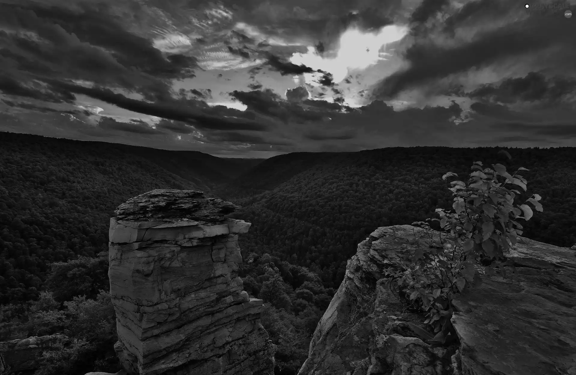 Great Sunsets, forest, clouds, rocks