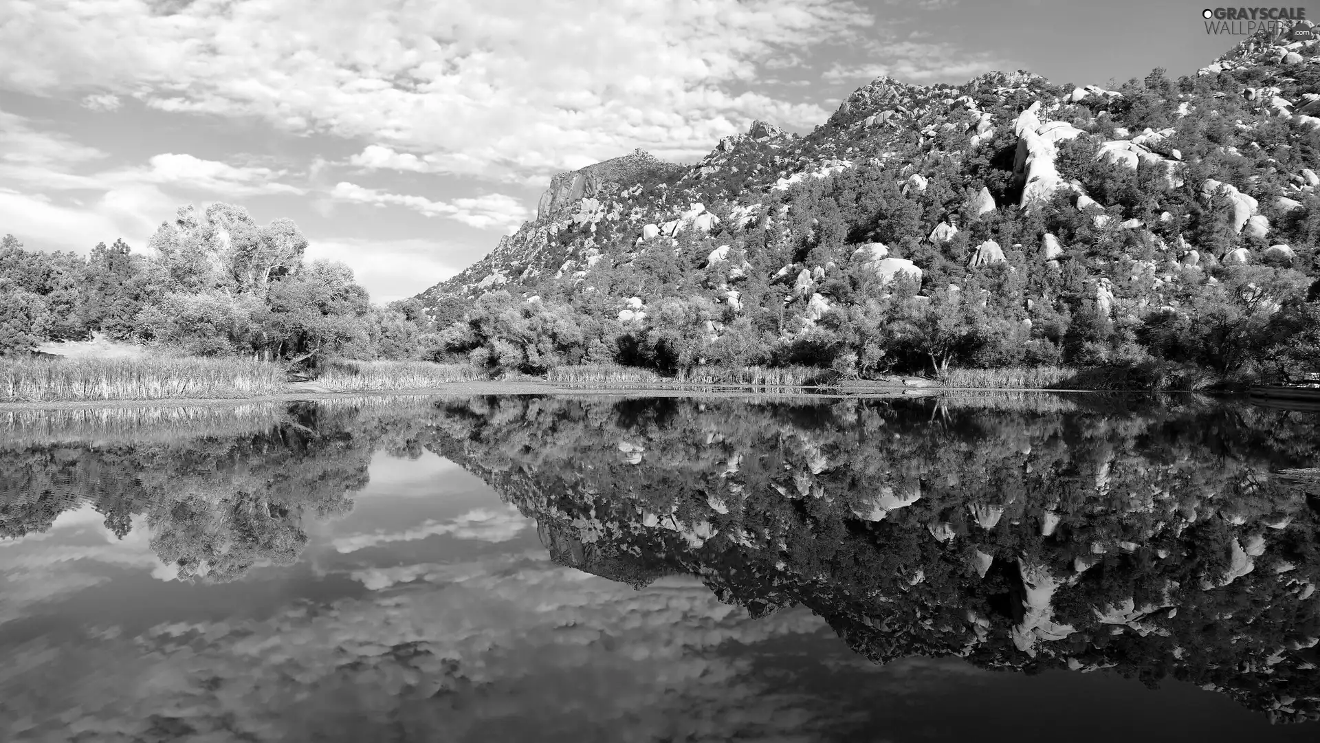 viewes, Mountains, lake, clouds, reflection, trees