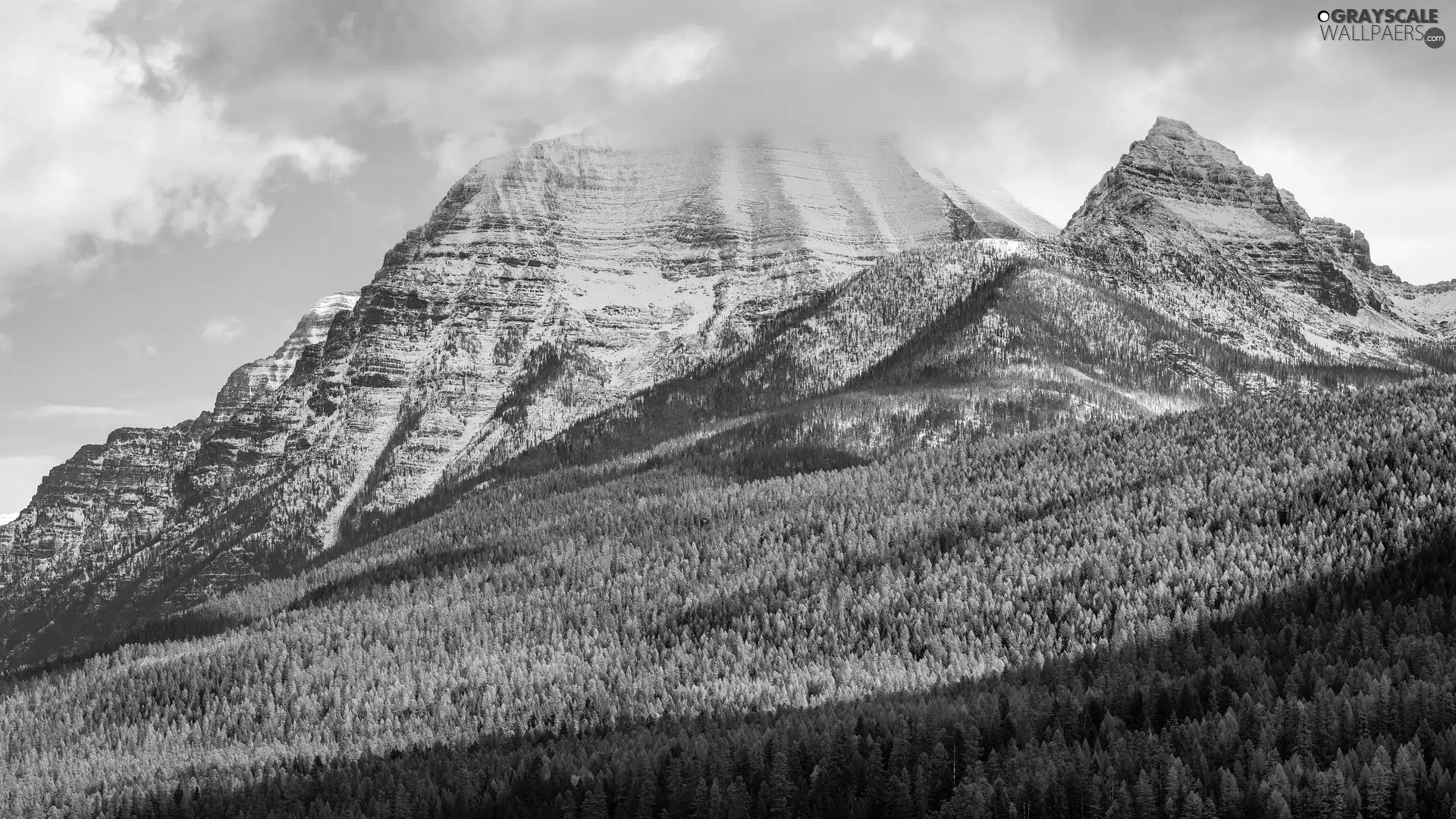 viewes, Mountains, Sky, clouds, forest, trees