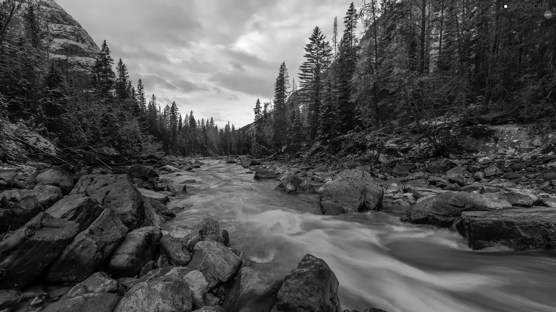 viewes, River, Stones, clouds, rocks, trees