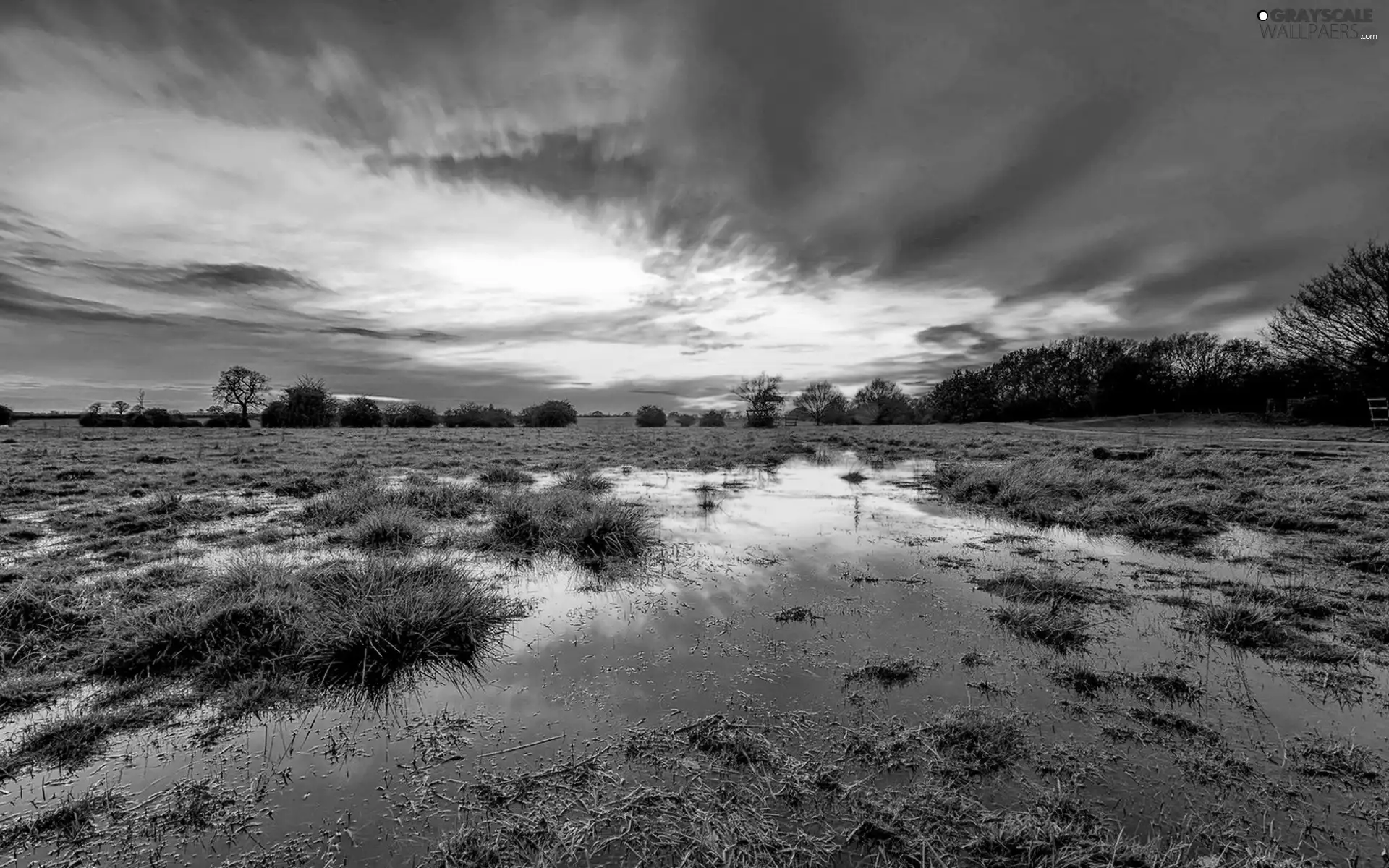 clouds, Meadow, trees, viewes, Great Sunsets, swamp