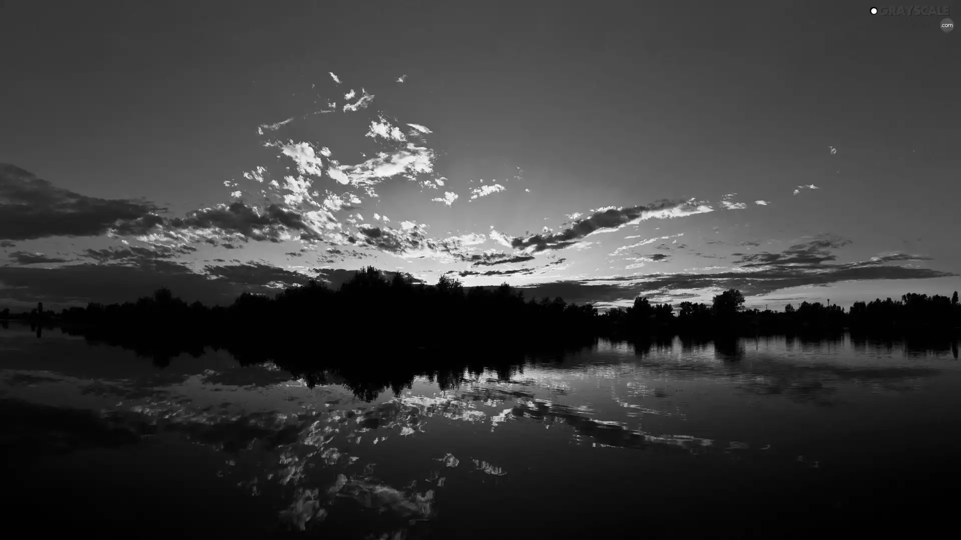 clouds, trees, viewes