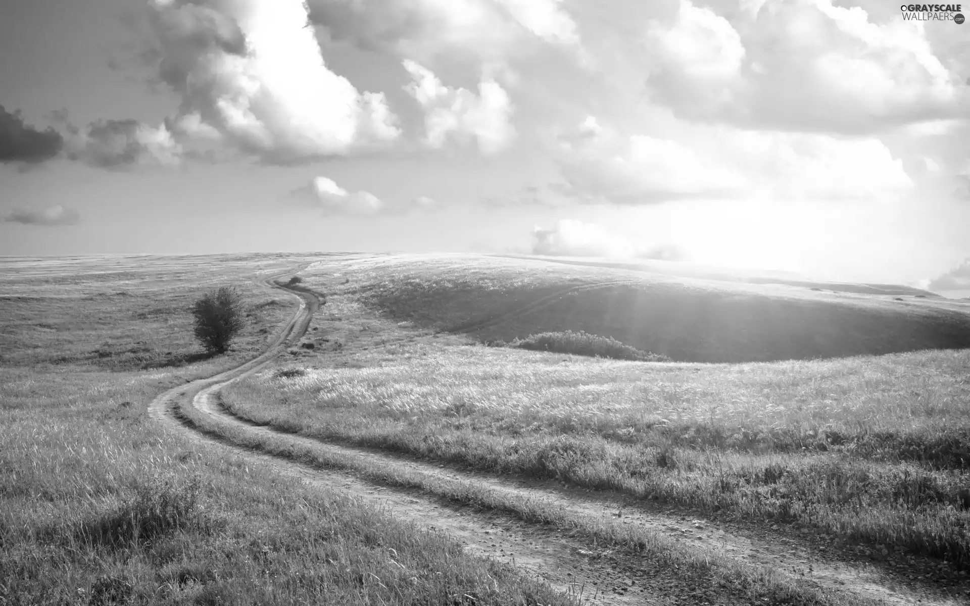 clouds, Field, Way