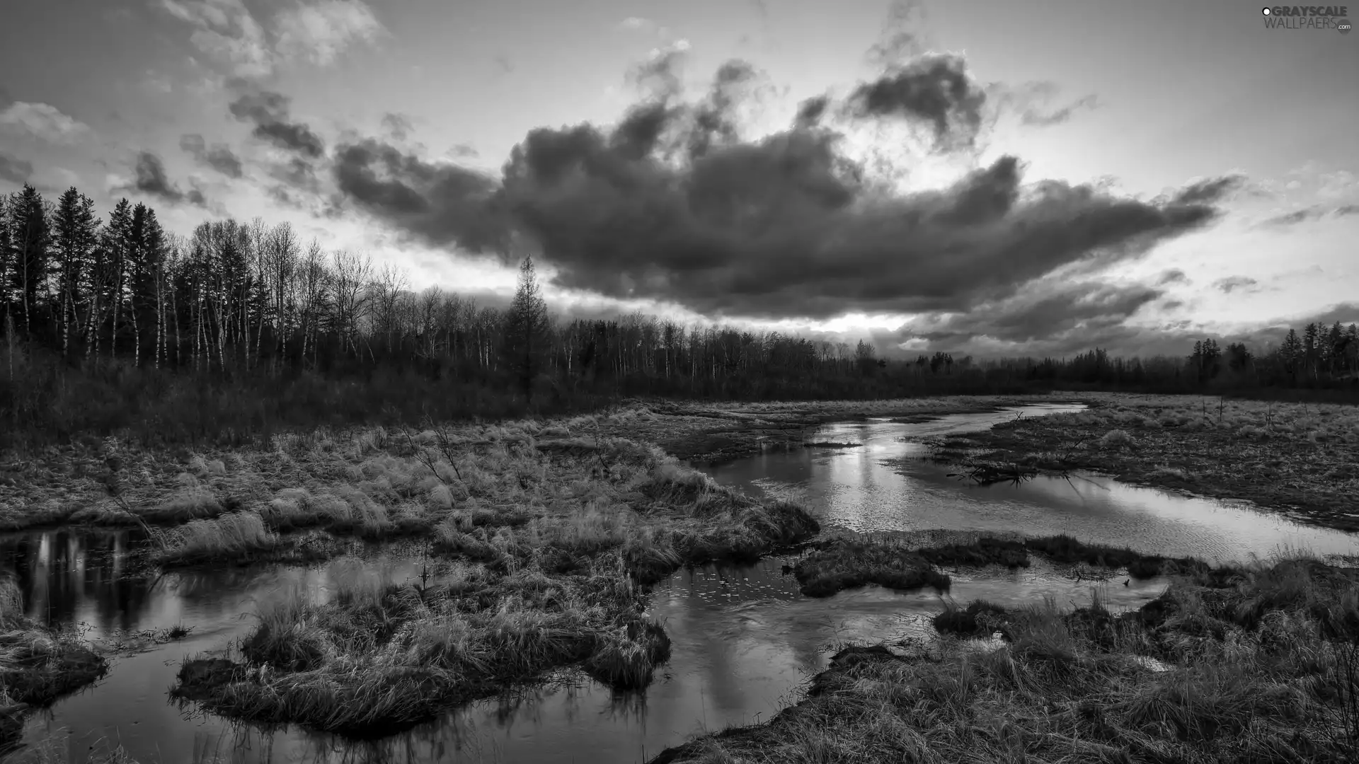 west, forest, clouds, sun