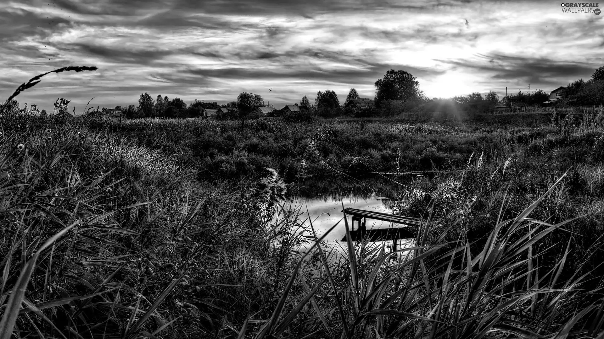 west, grass, clouds, sun