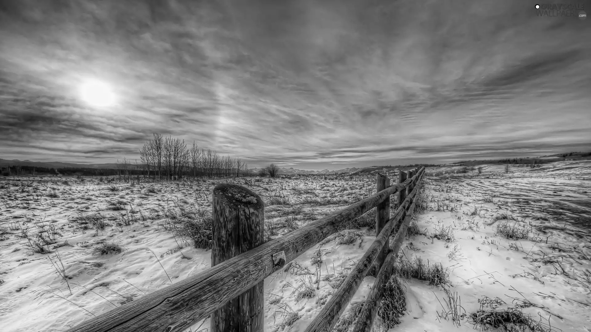 winter, Fance, clouds, Field