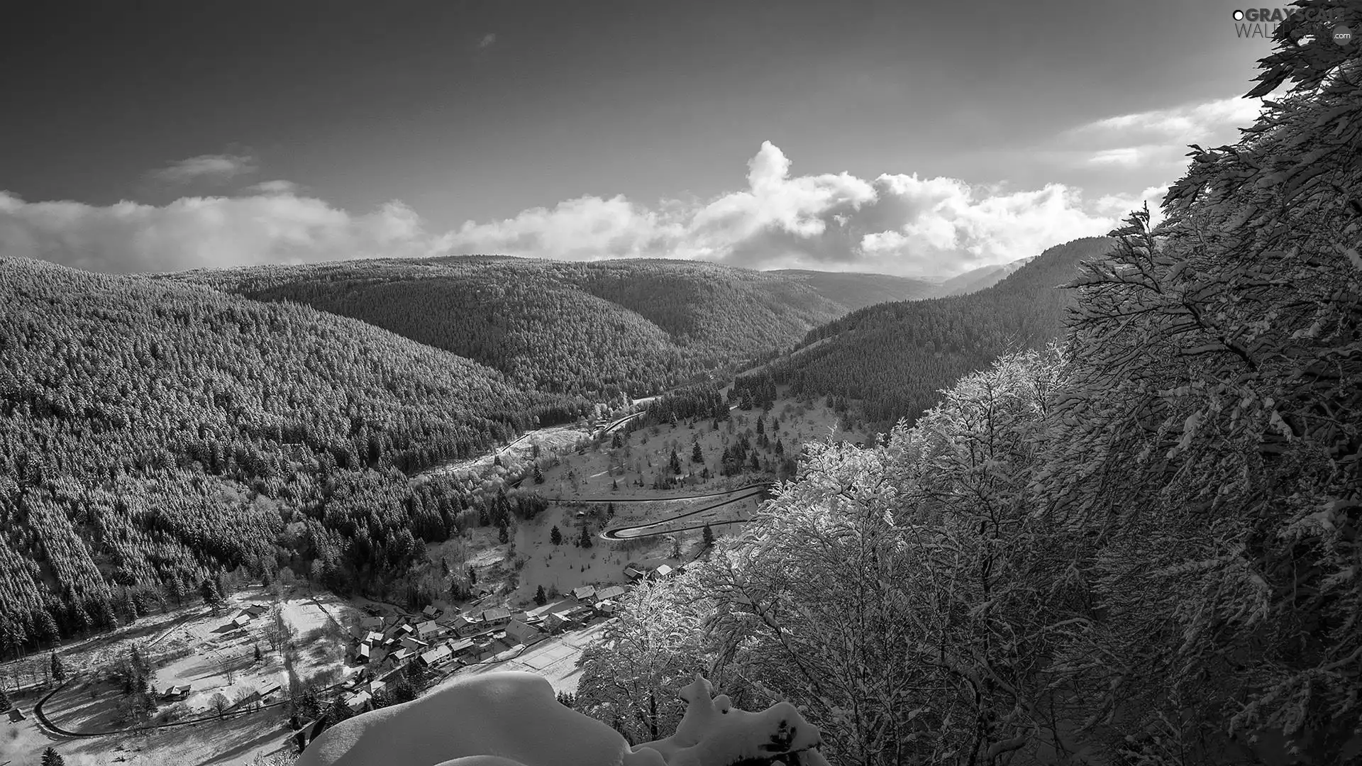 clouds, winter, woods, colony, Mountains