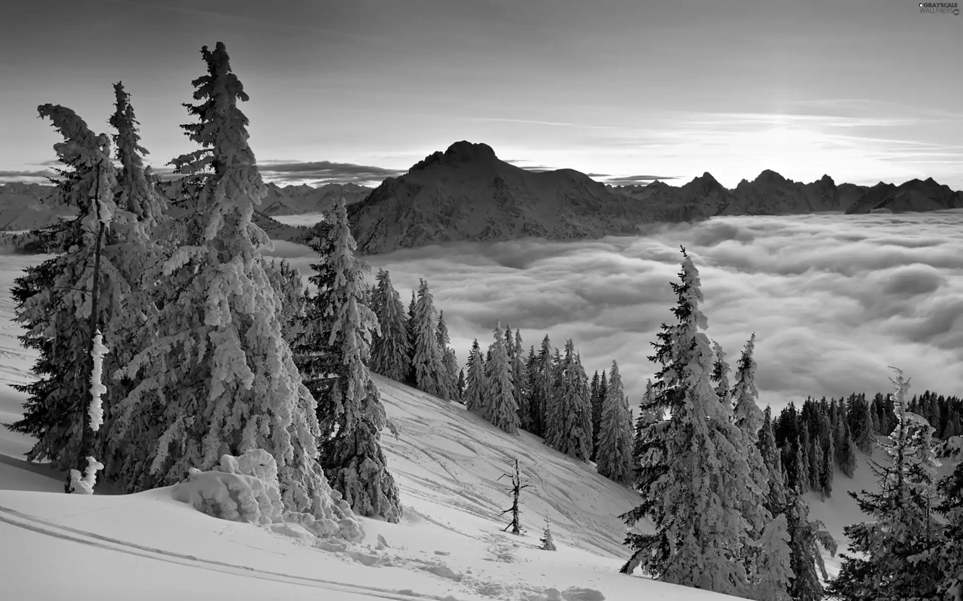 winter, Mountains, clouds, forest