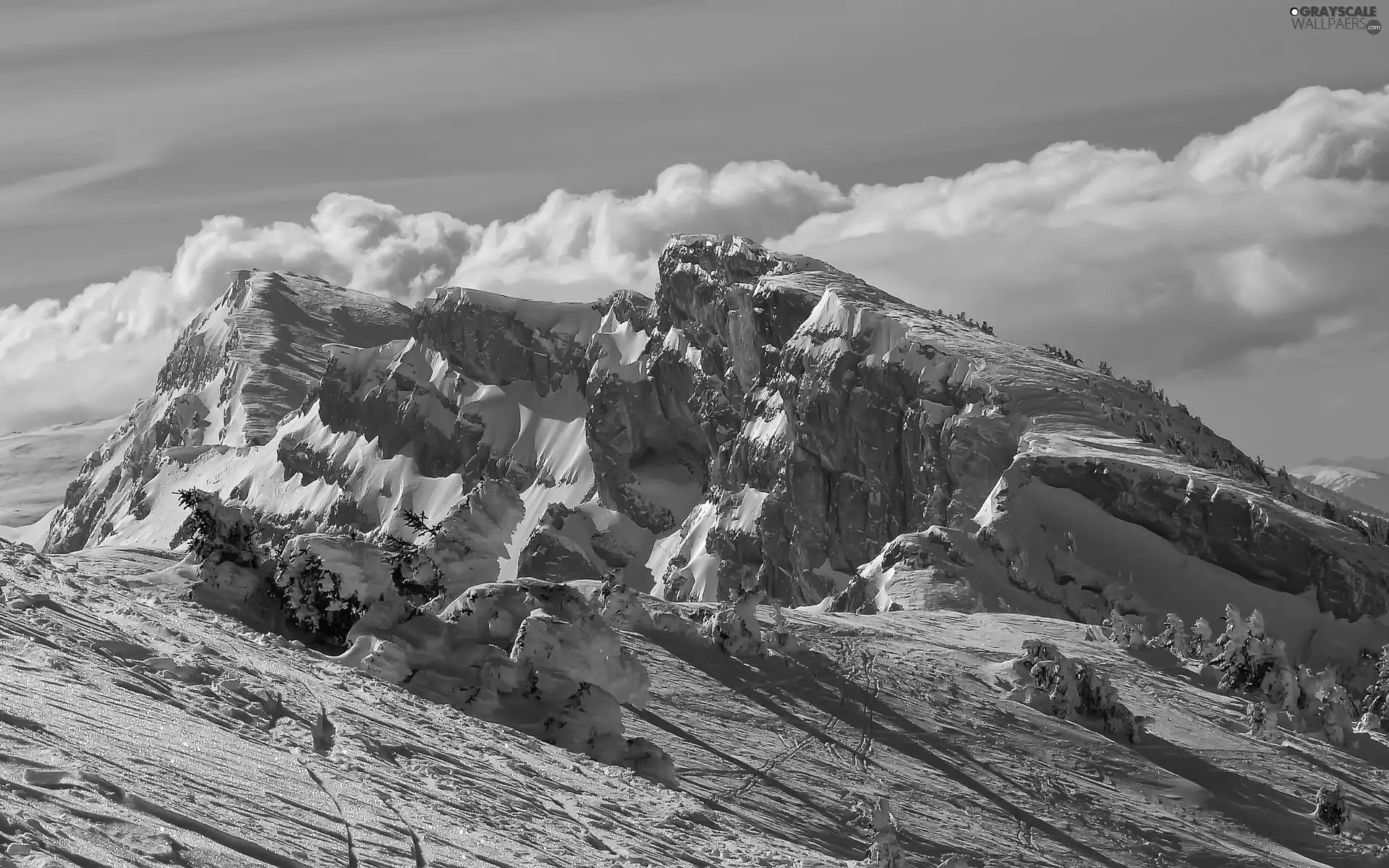 trees, Rocky, clouds, winter, viewes, Mountains