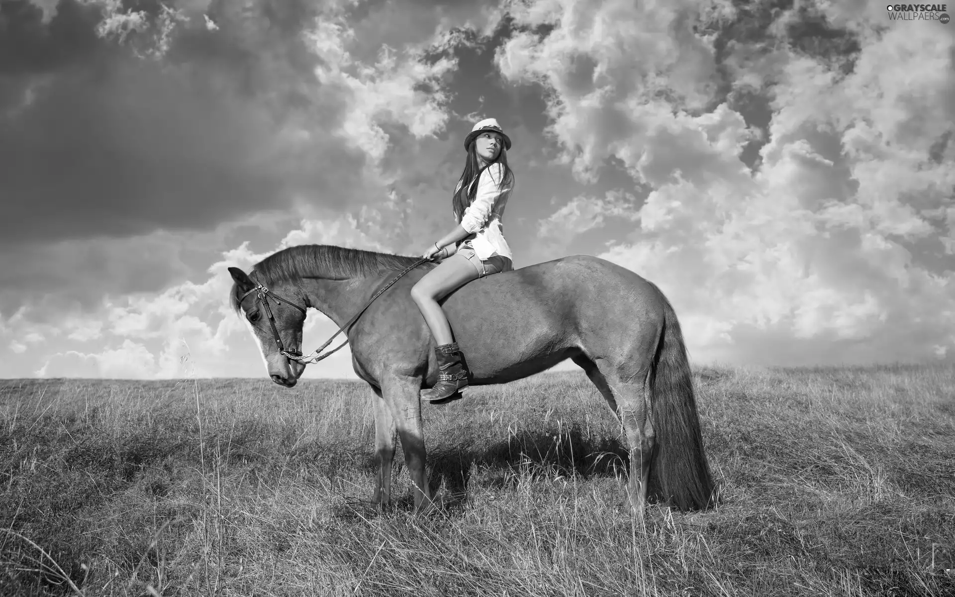 Women, Meadow, clouds, Horse