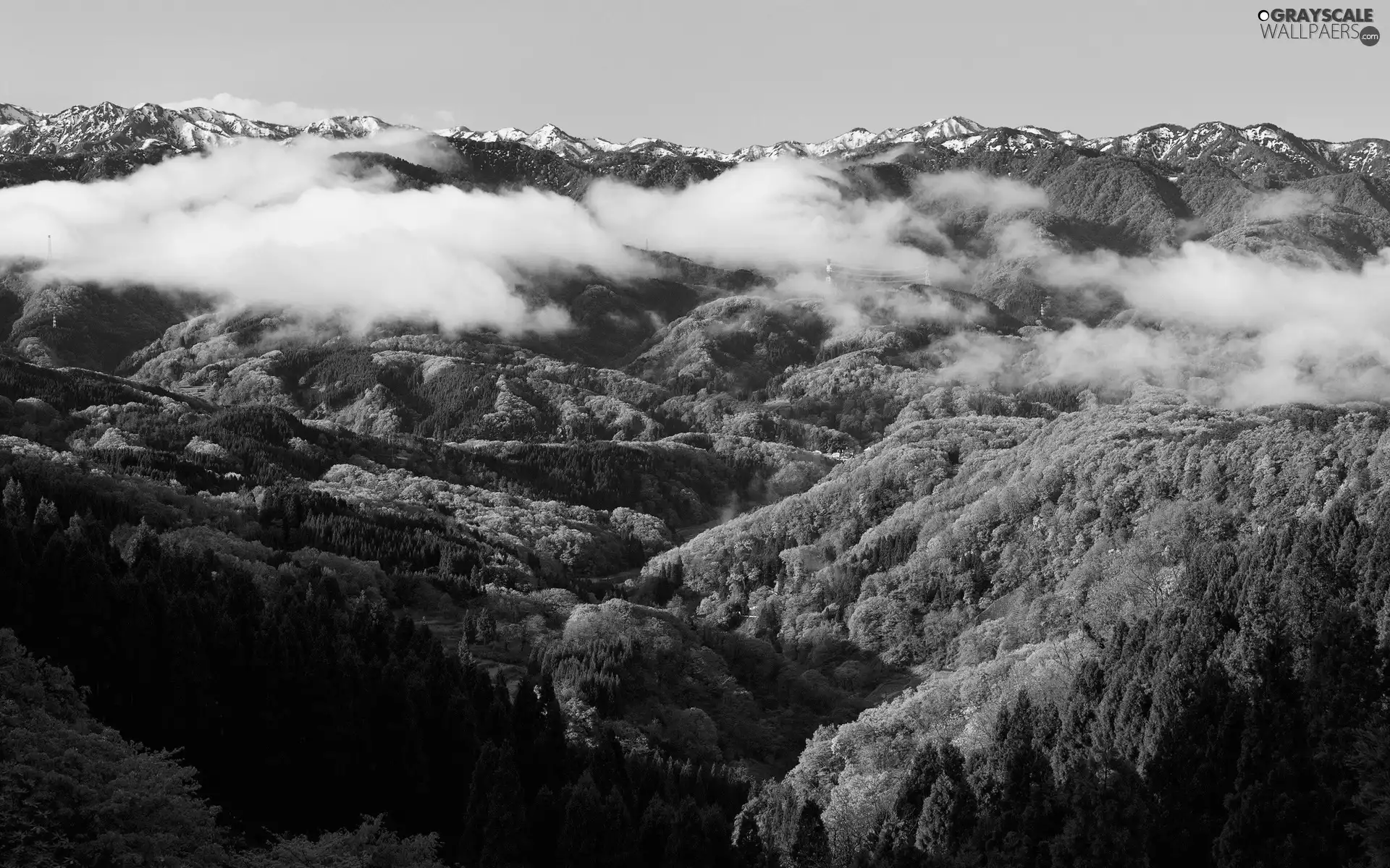 clouds, Mountains, woods