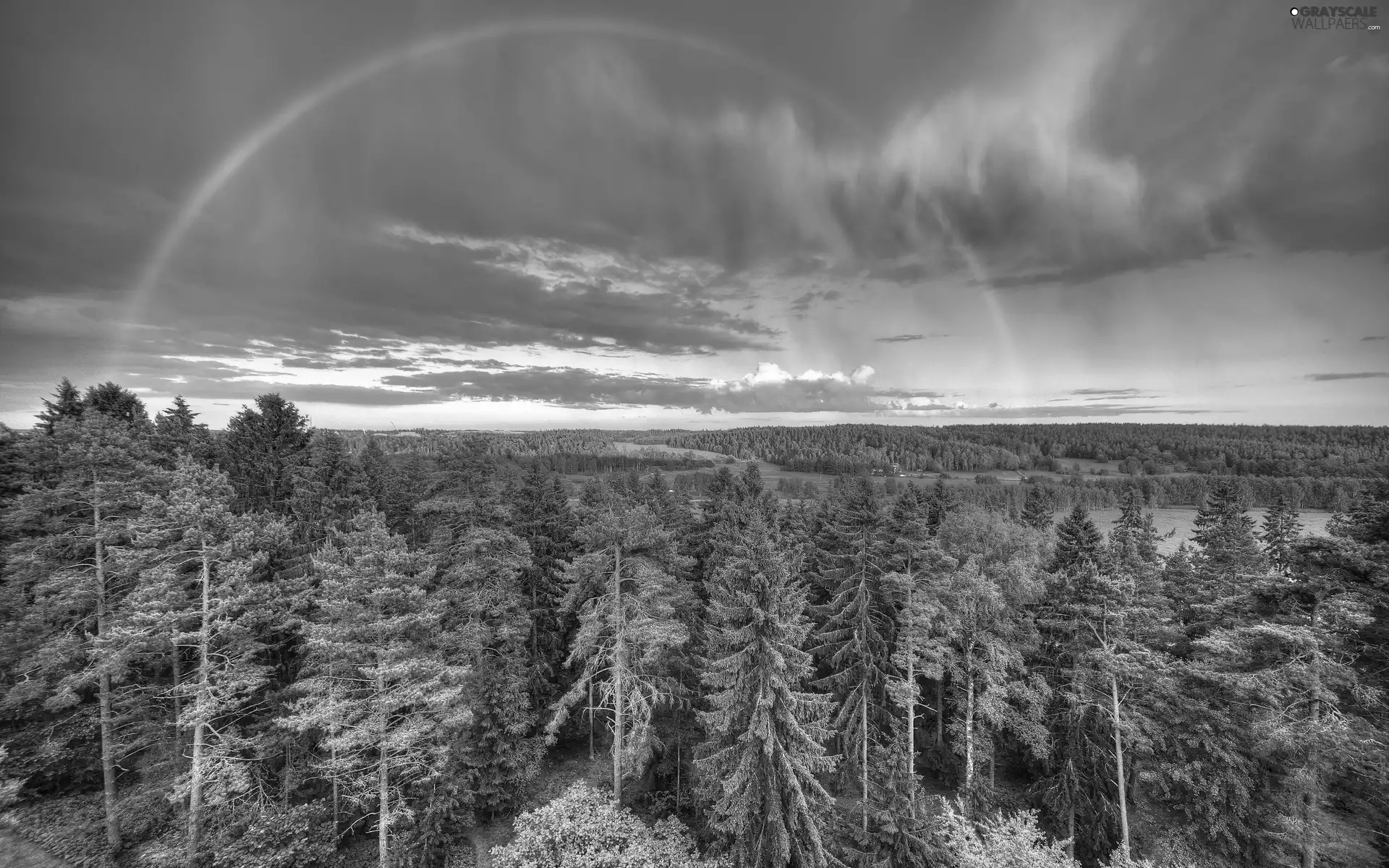 woods, Great Rainbows, clouds, medows