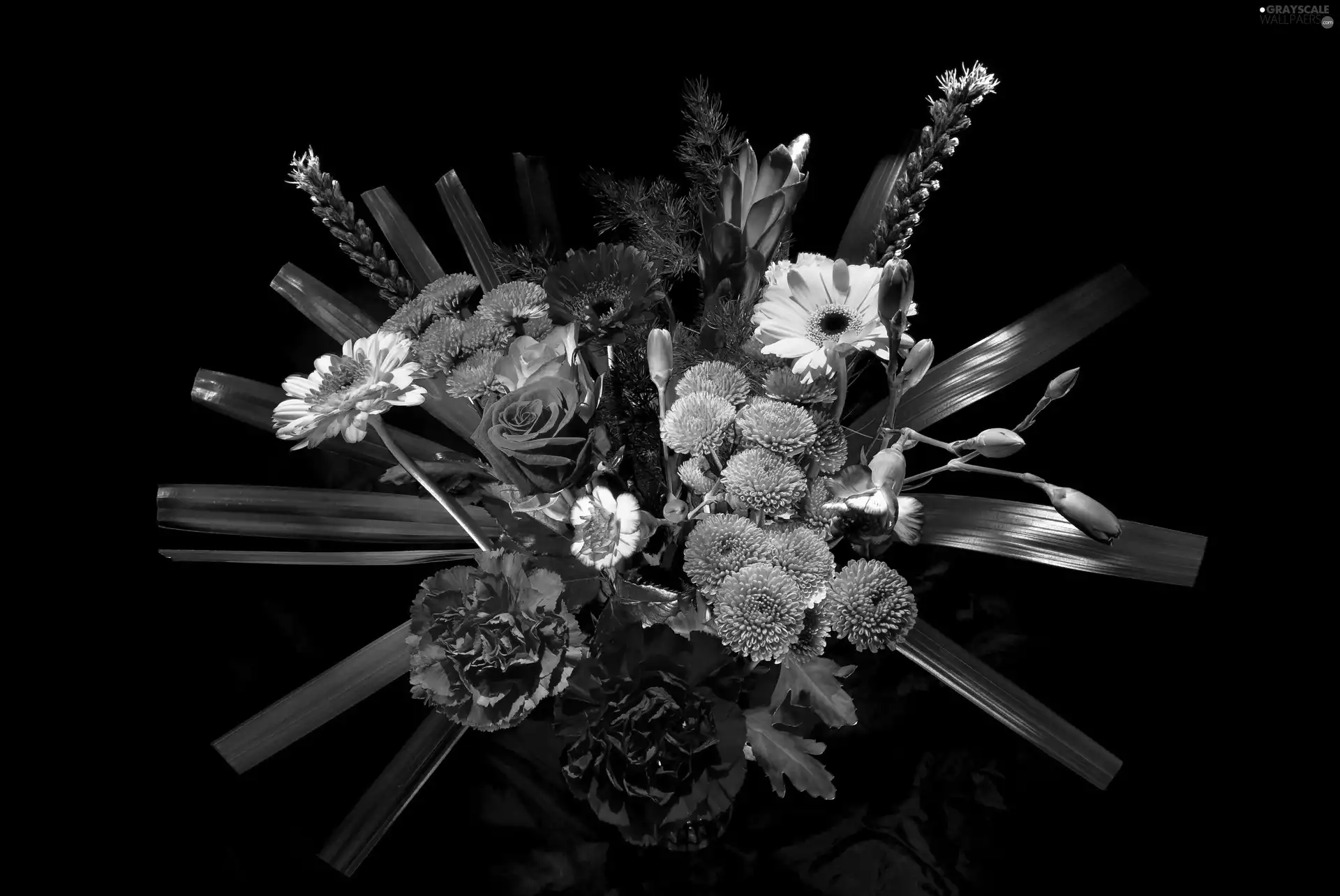 Chrysanthemums, roses, Black, gerberas, bouquet, cloves, background