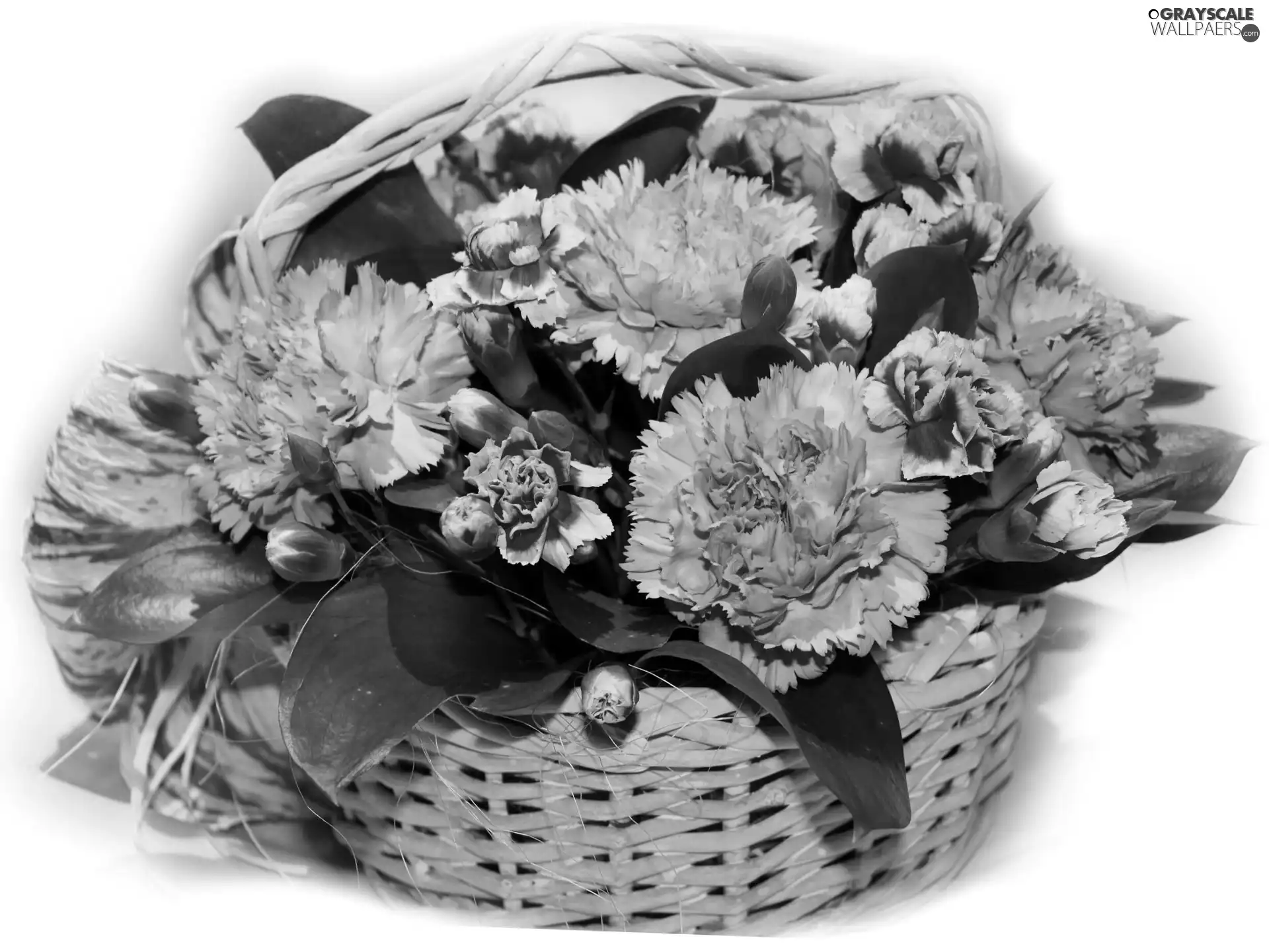 cloves, basket, Pink