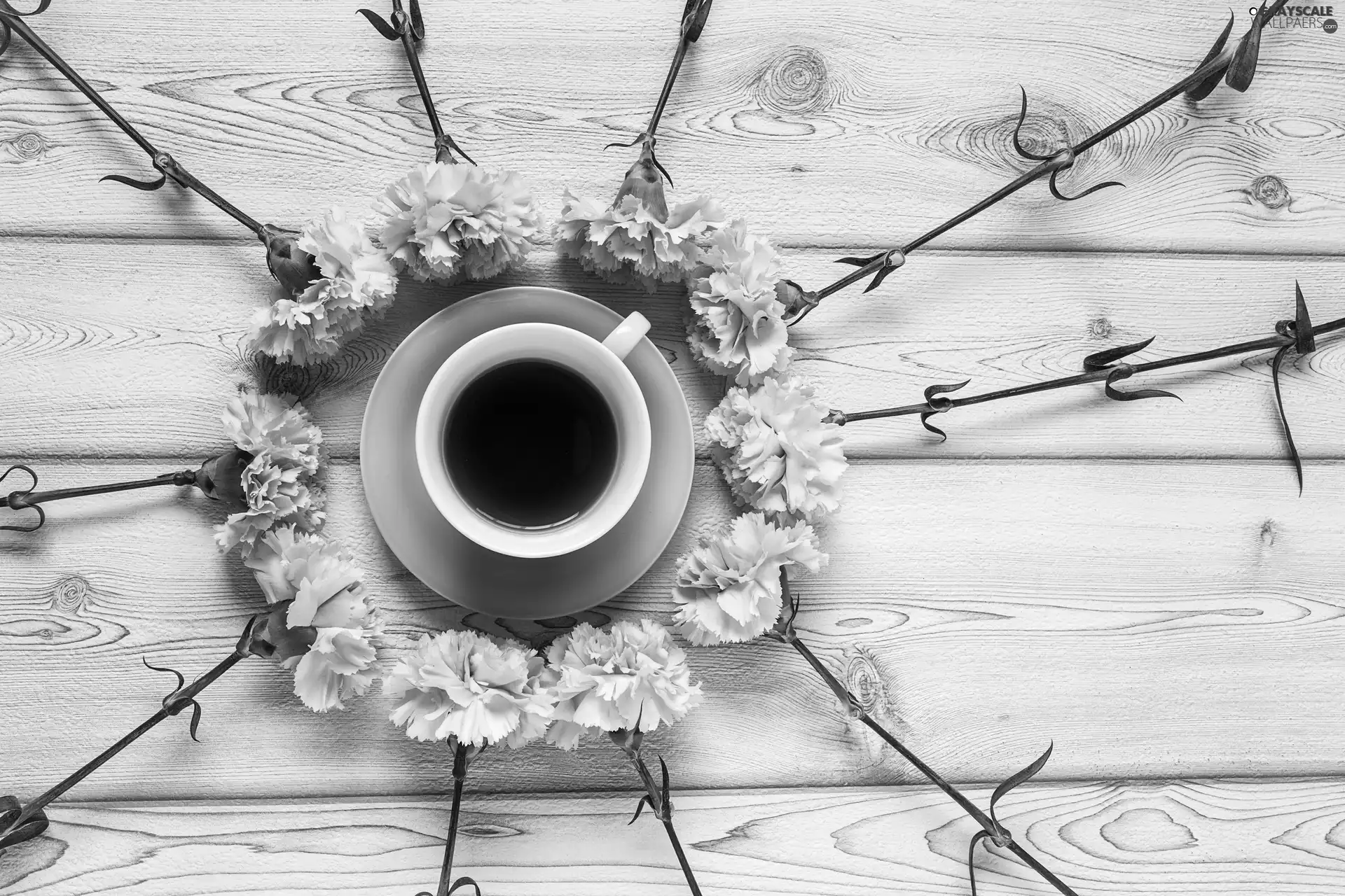 Pink, cloves, tea, Flowers, cup