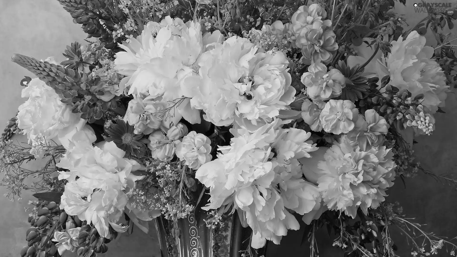 lupine, Peonies, Vase, cloves, Bouquet of Flowers