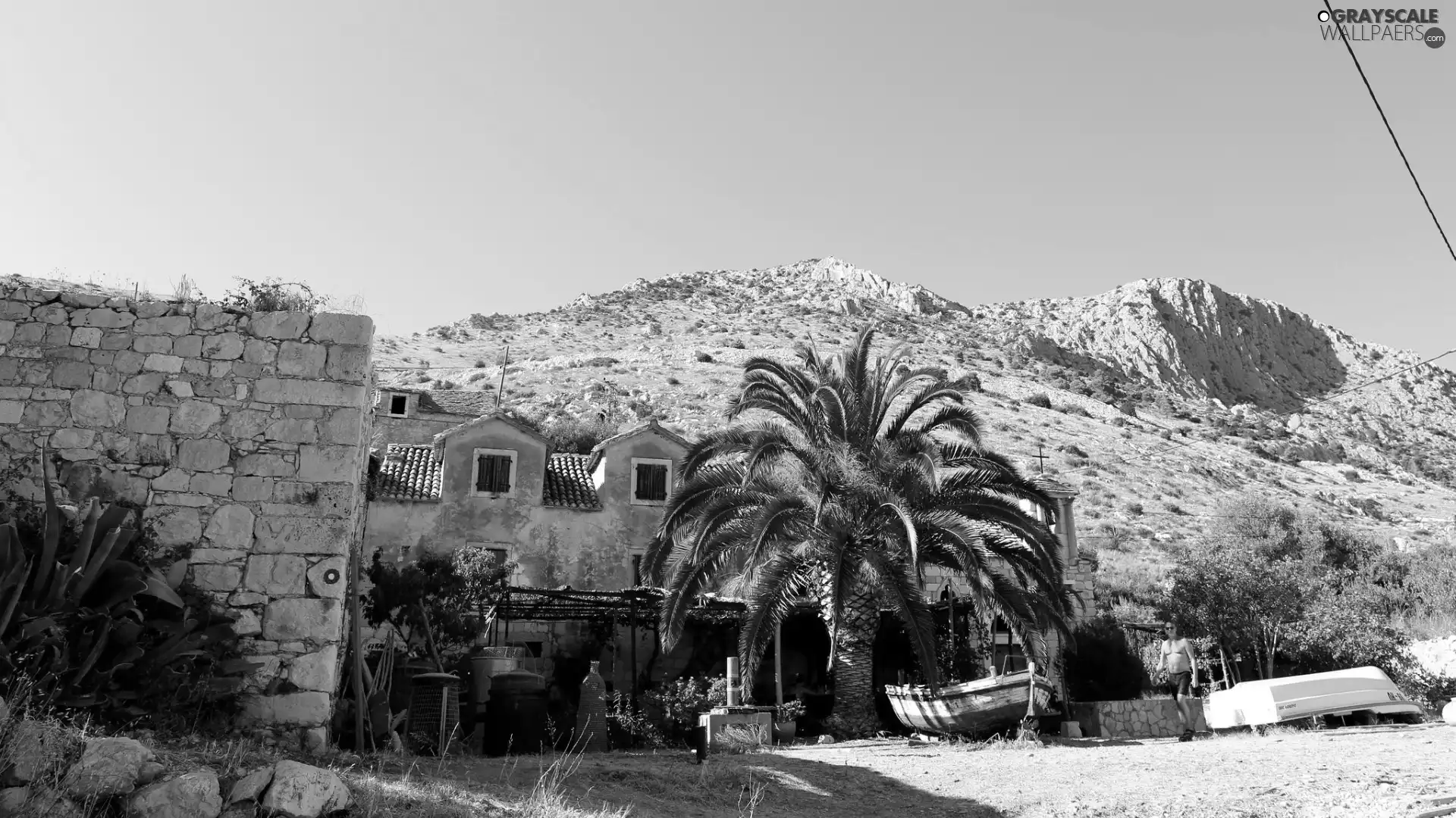 Mountains, Palm, Coartia, house