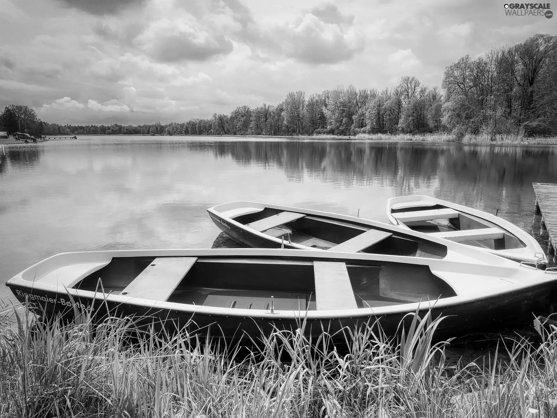 trees, boats, grass, coast, viewes, lake