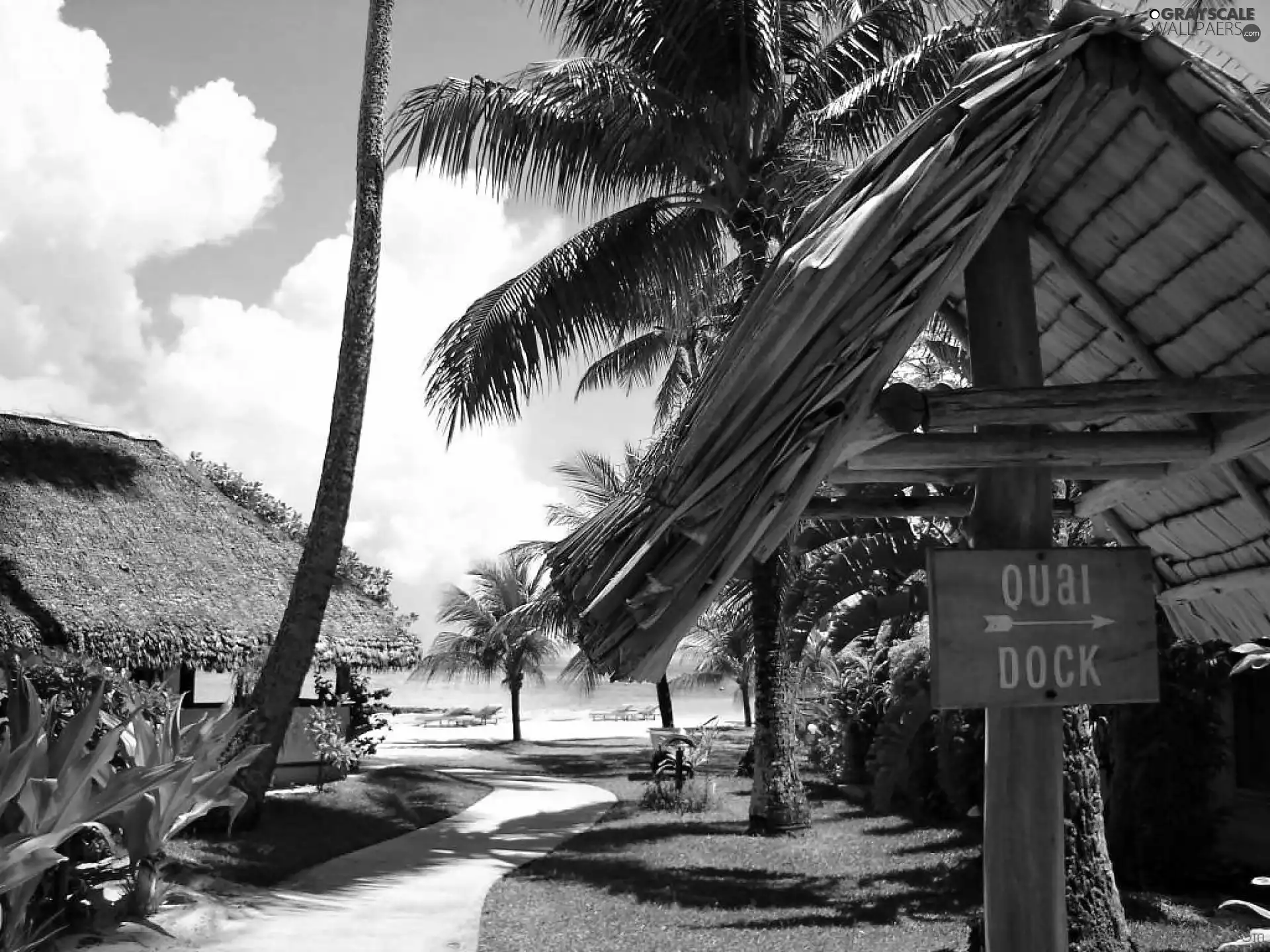 clouds, sea, complex, Coast, Bora Bora, Palms, The hotel