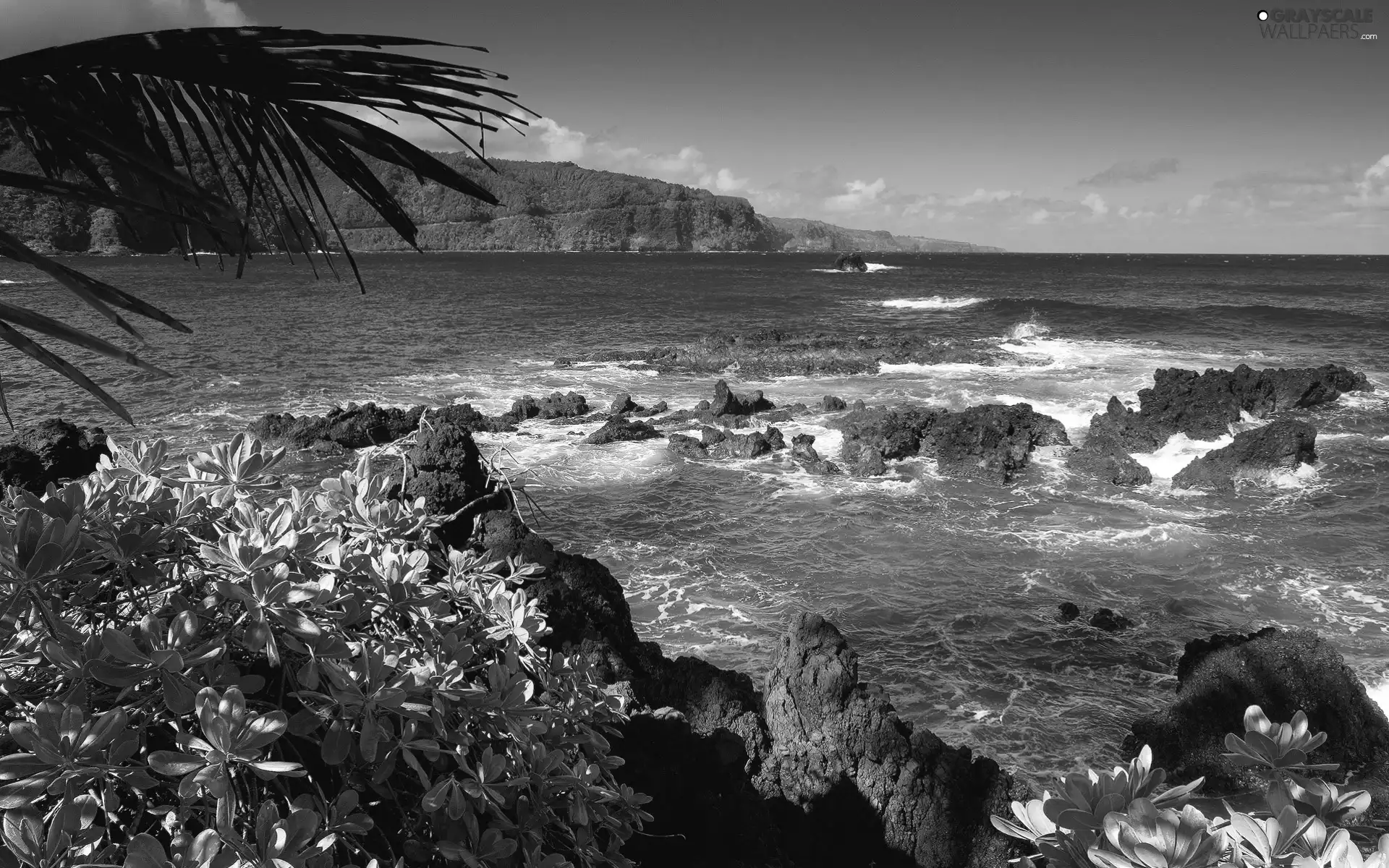 Coast, sea, Rocks