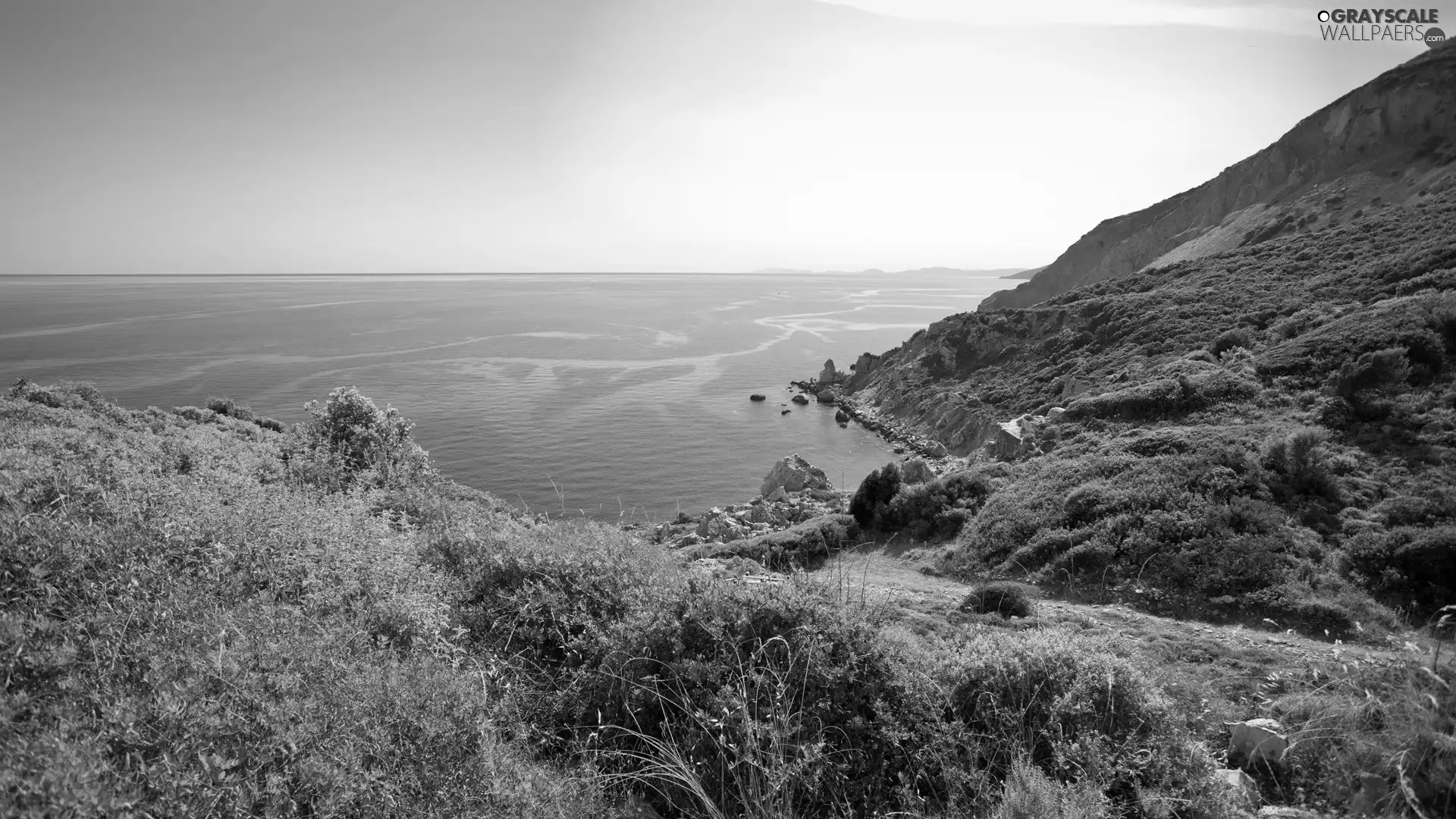 Gulf, The Hills, Coast