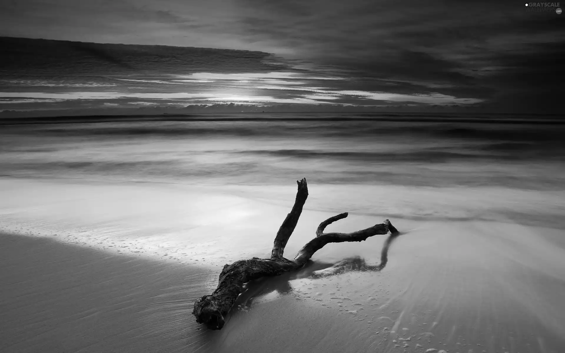 Sea, Lod on the beach, coast