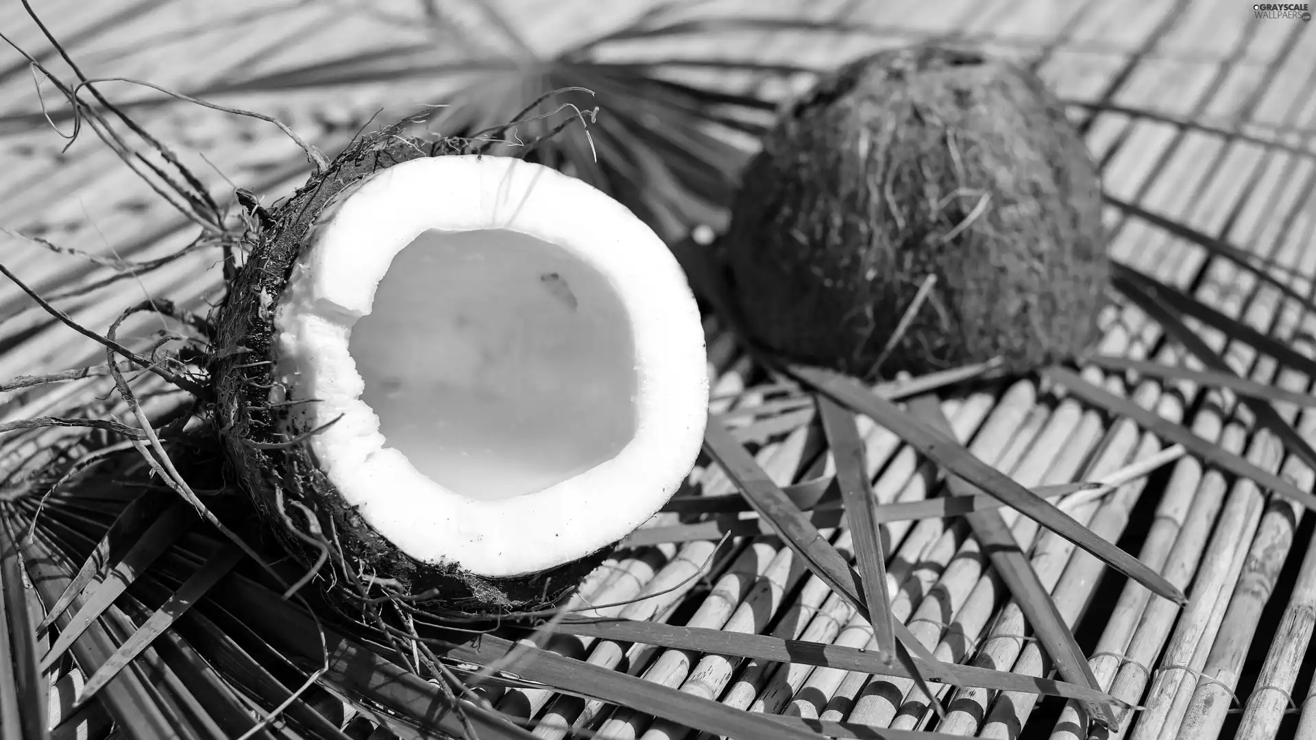 Coconut, sectioned