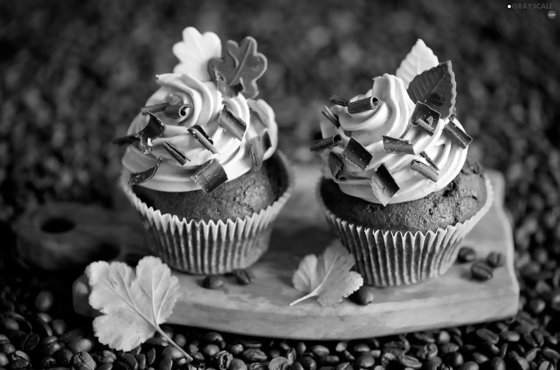 composition, Chocolate Muffins, Coffee Beans