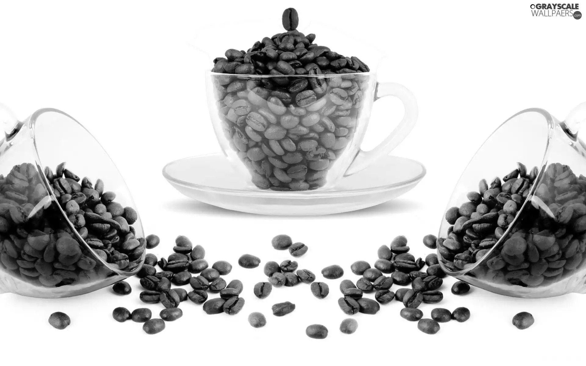 coffee, cups, grains