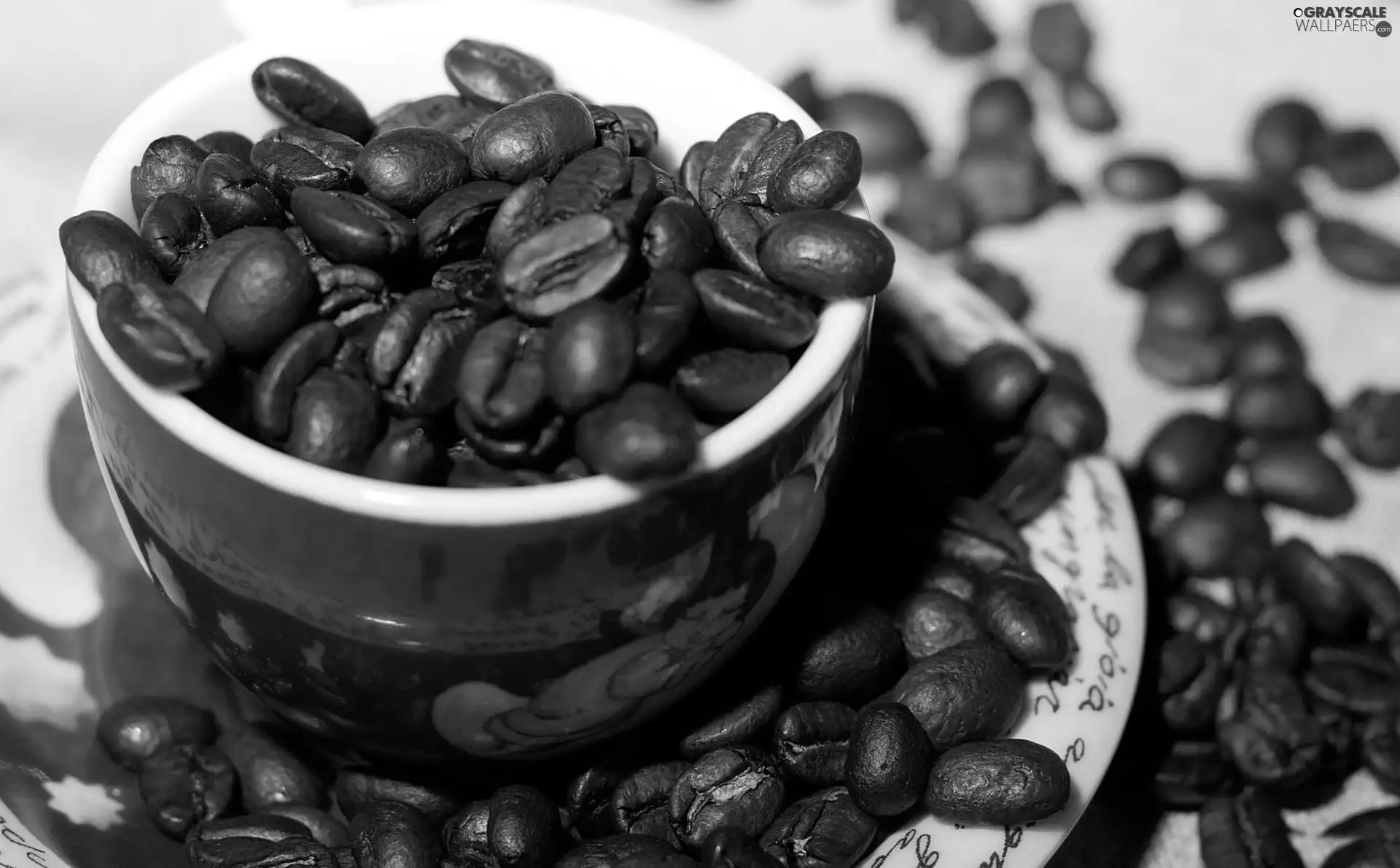 saucer, grains, coffee, cup