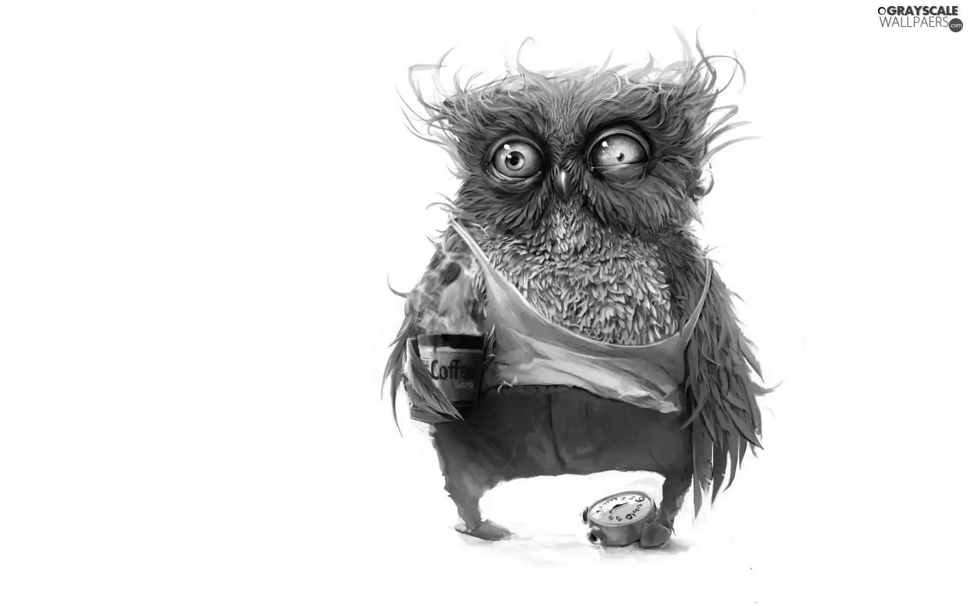 coffee, owl, Slippers