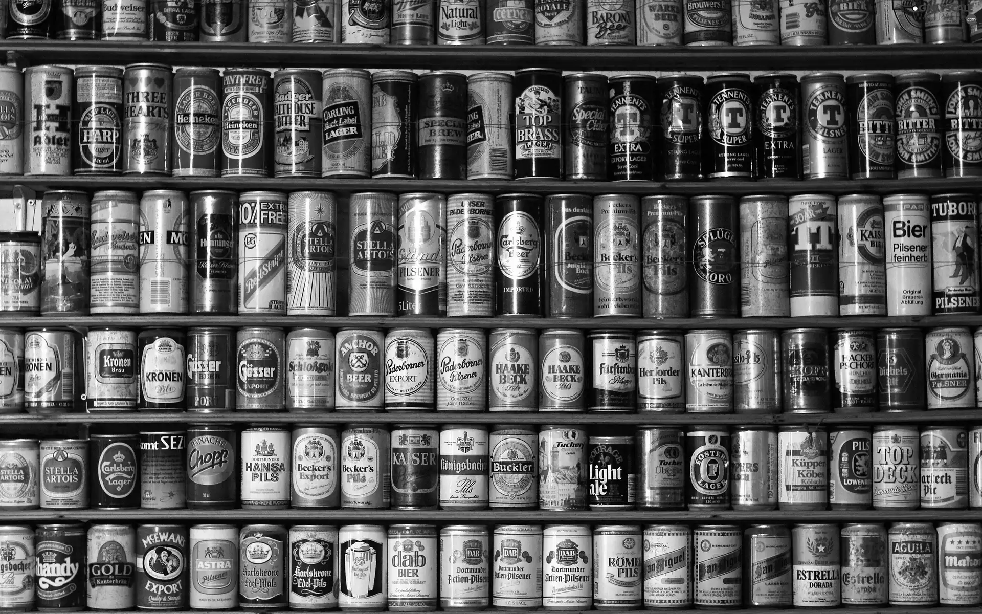 Beer, bookstand, collection, Cans