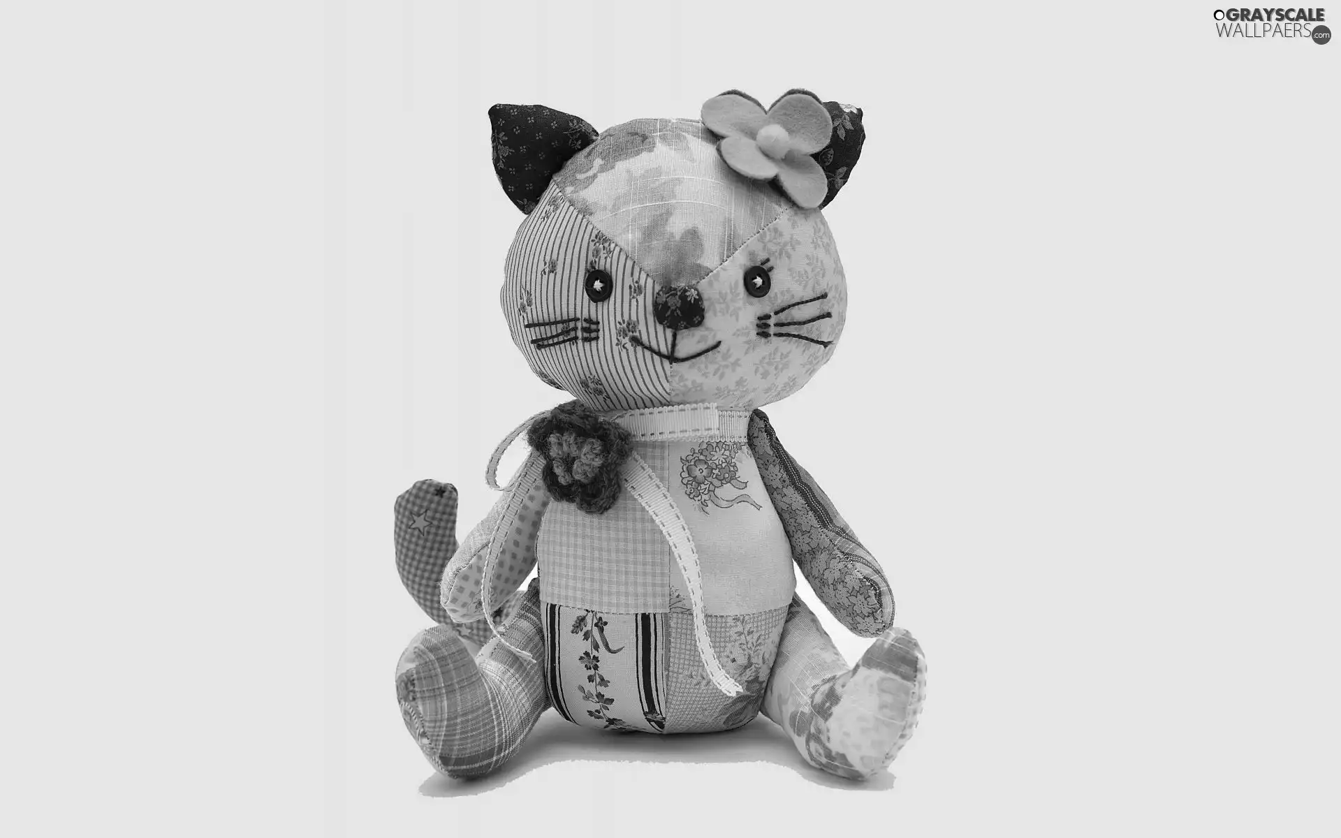 color, teddy bear, attractive, rag, toy