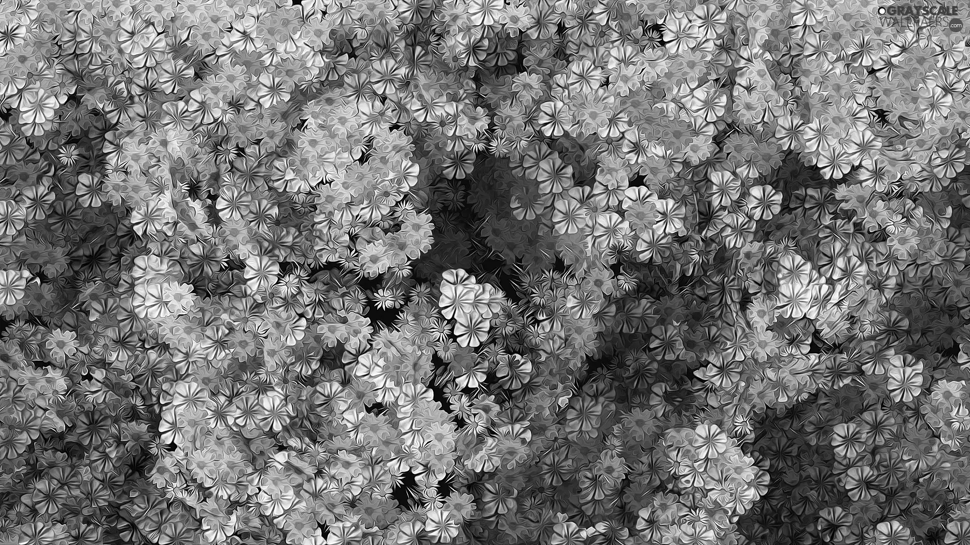 color, texture, Flowers