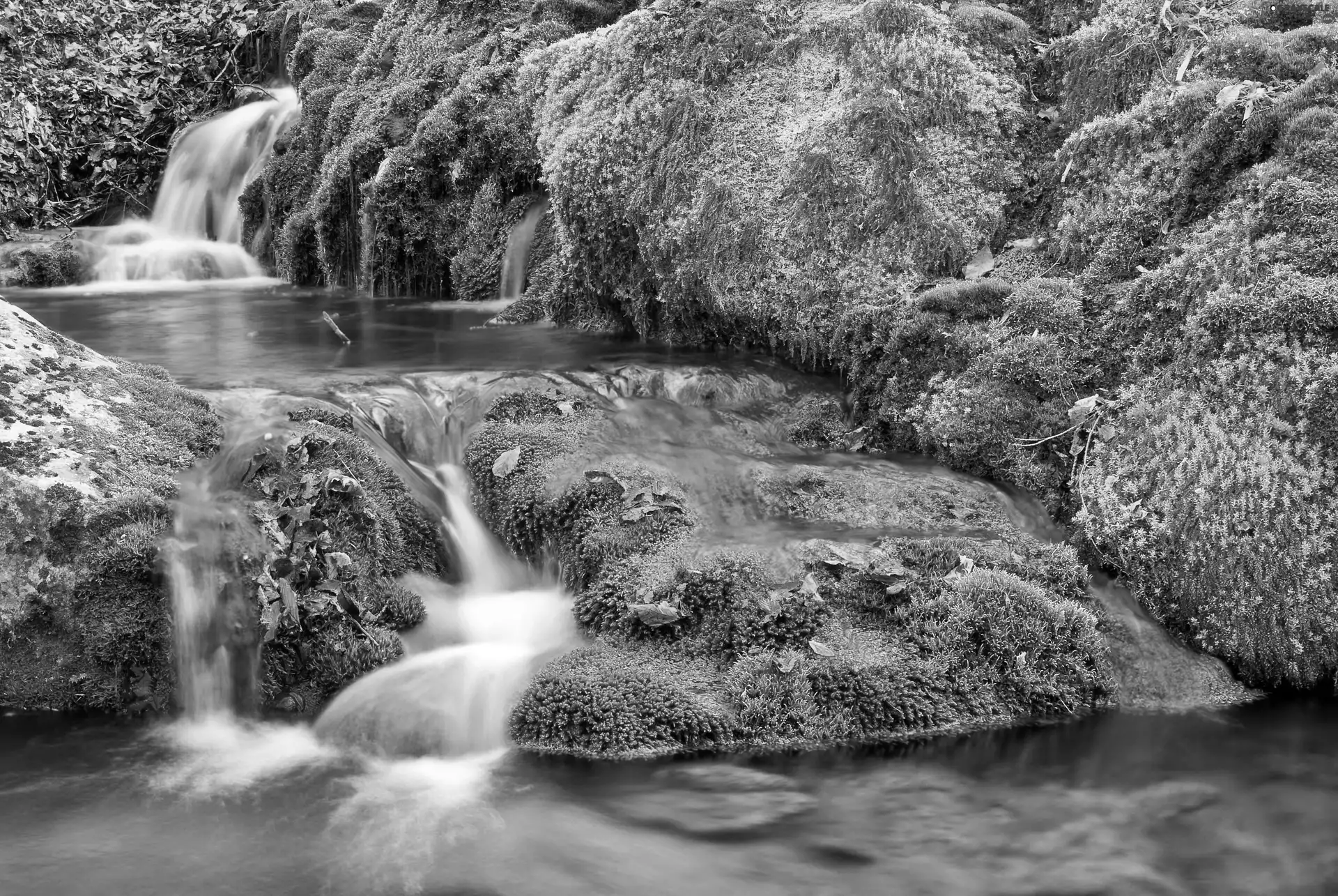color, Leaf, mossy, rocks, waterfall