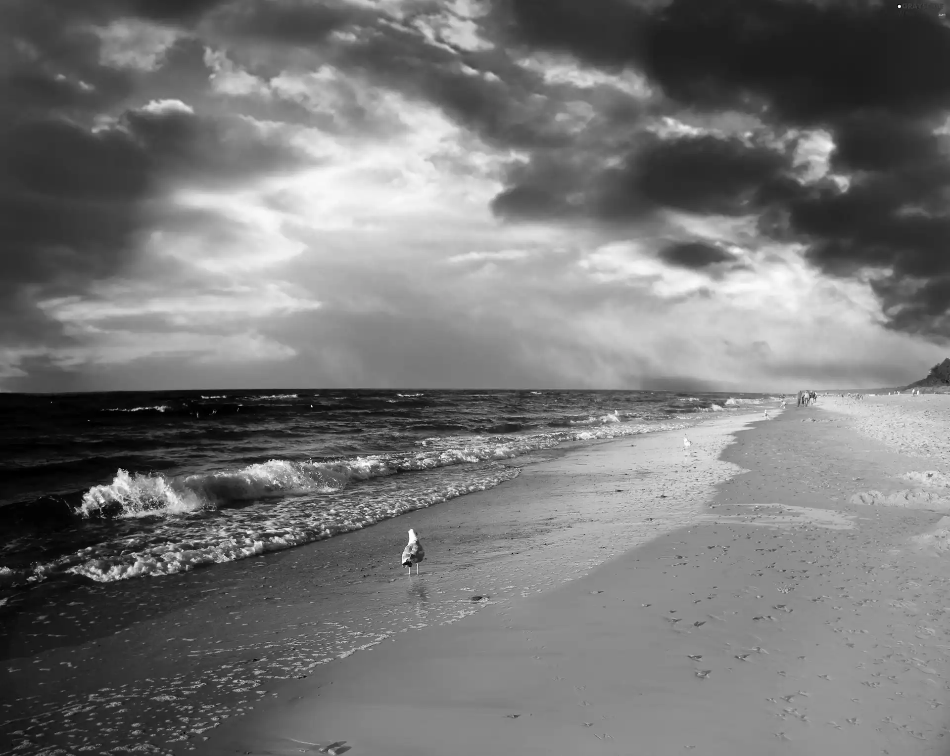 color, Sky, sea, Beaches, clouds