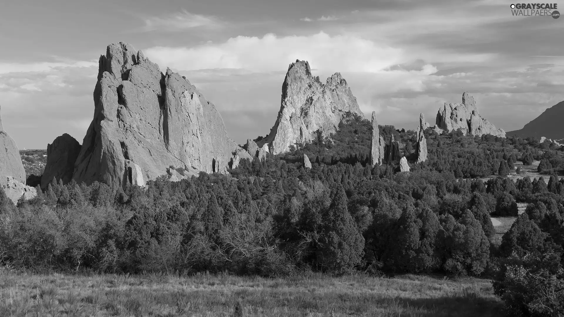 rocks, viewes, Colorado, trees