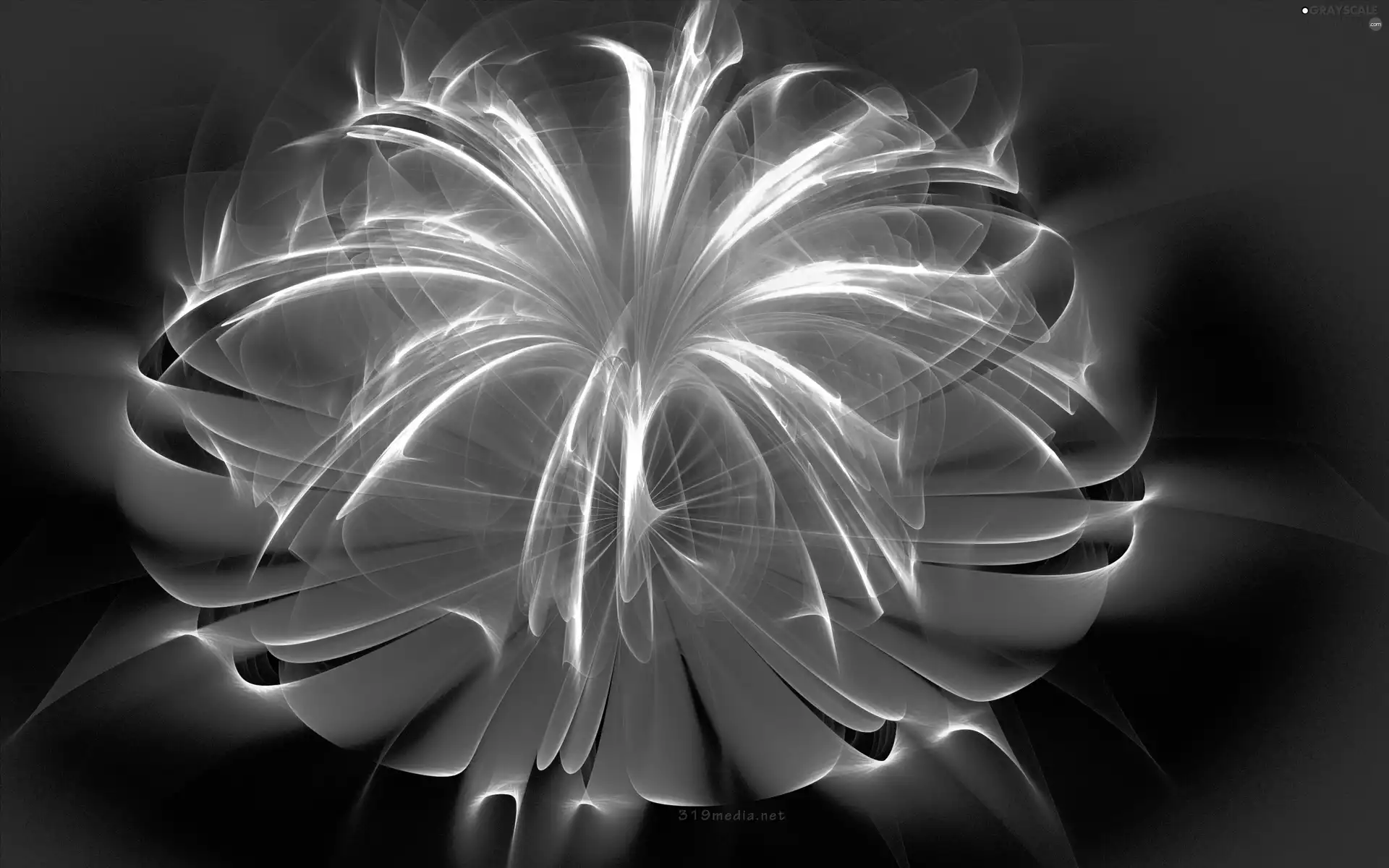 Colourfull Flowers, abstraction