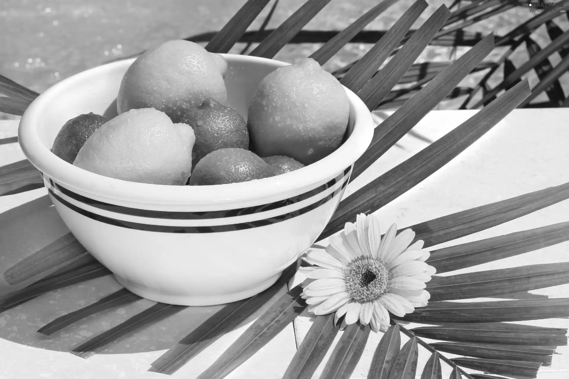 Colourfull Flowers, composition, limes, bowl, lemons