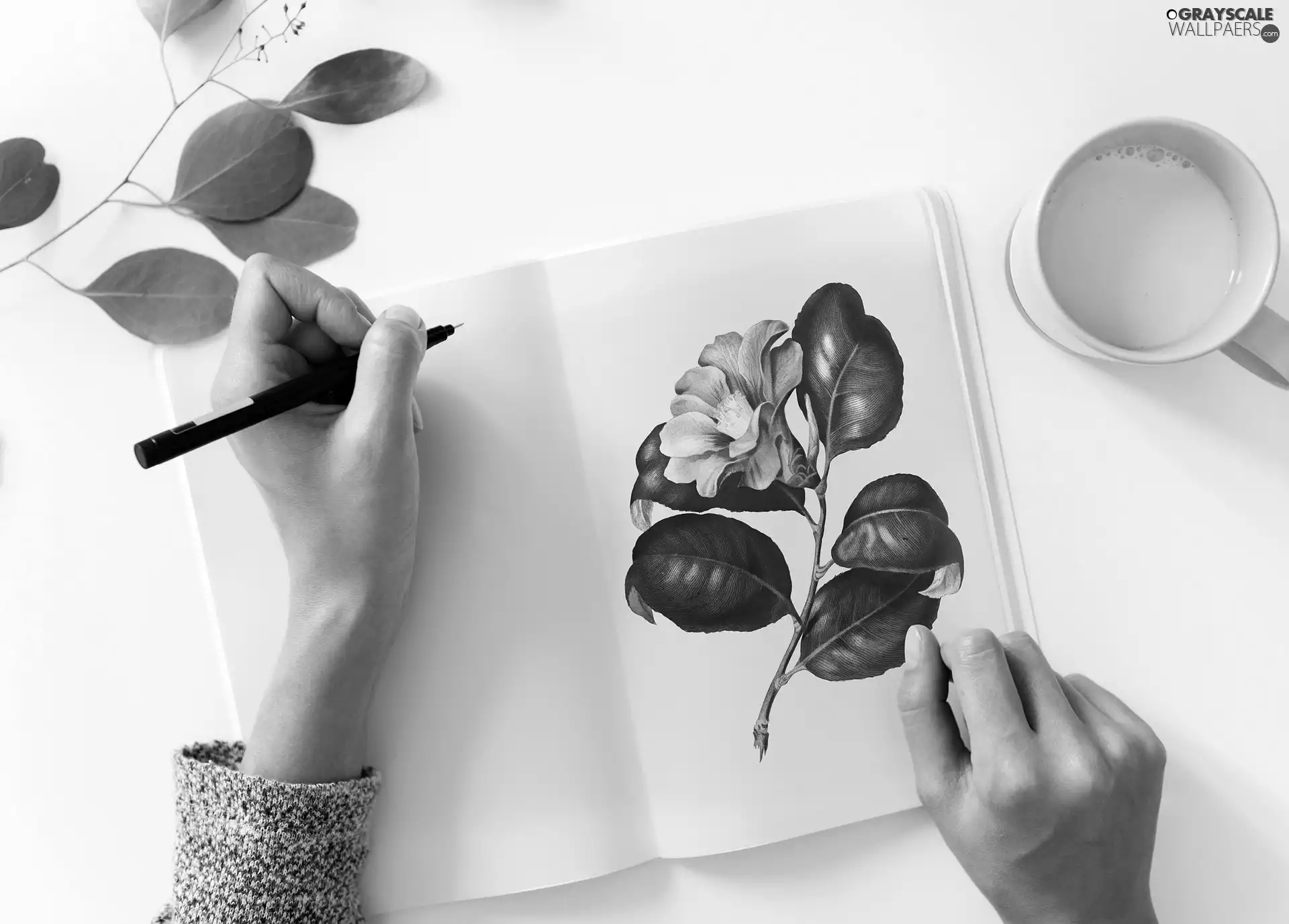 hands, Cup, Drawing, Colourfull Flowers, Fascilice