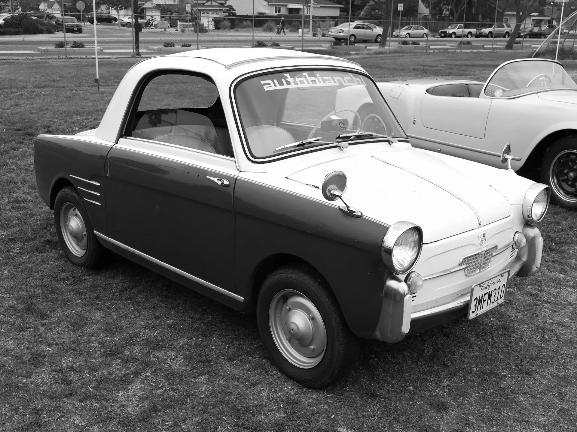 White, Autobianchi Bianchina, commission, Red