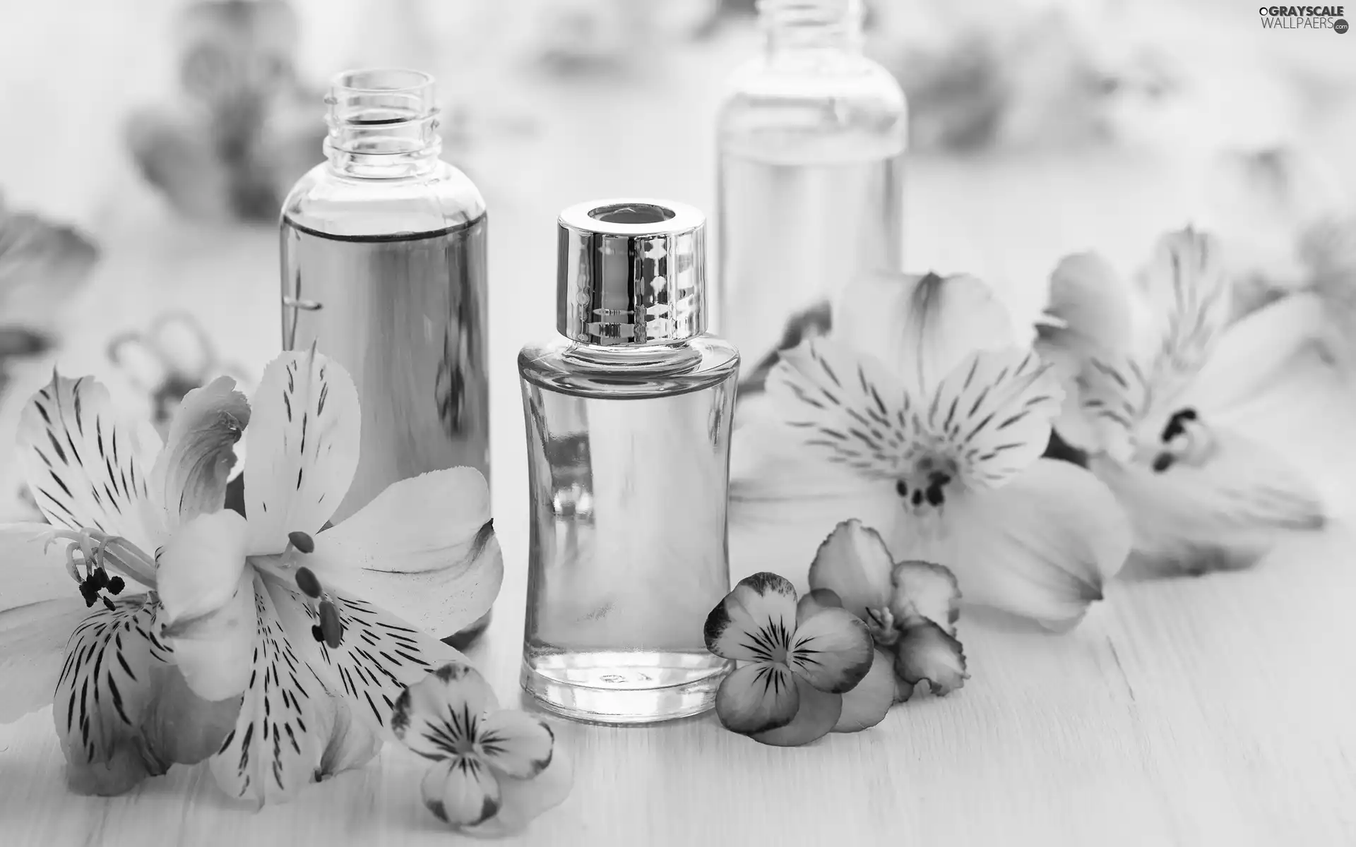 Alstroemeria, composition, Bottles, Flowers, perfume