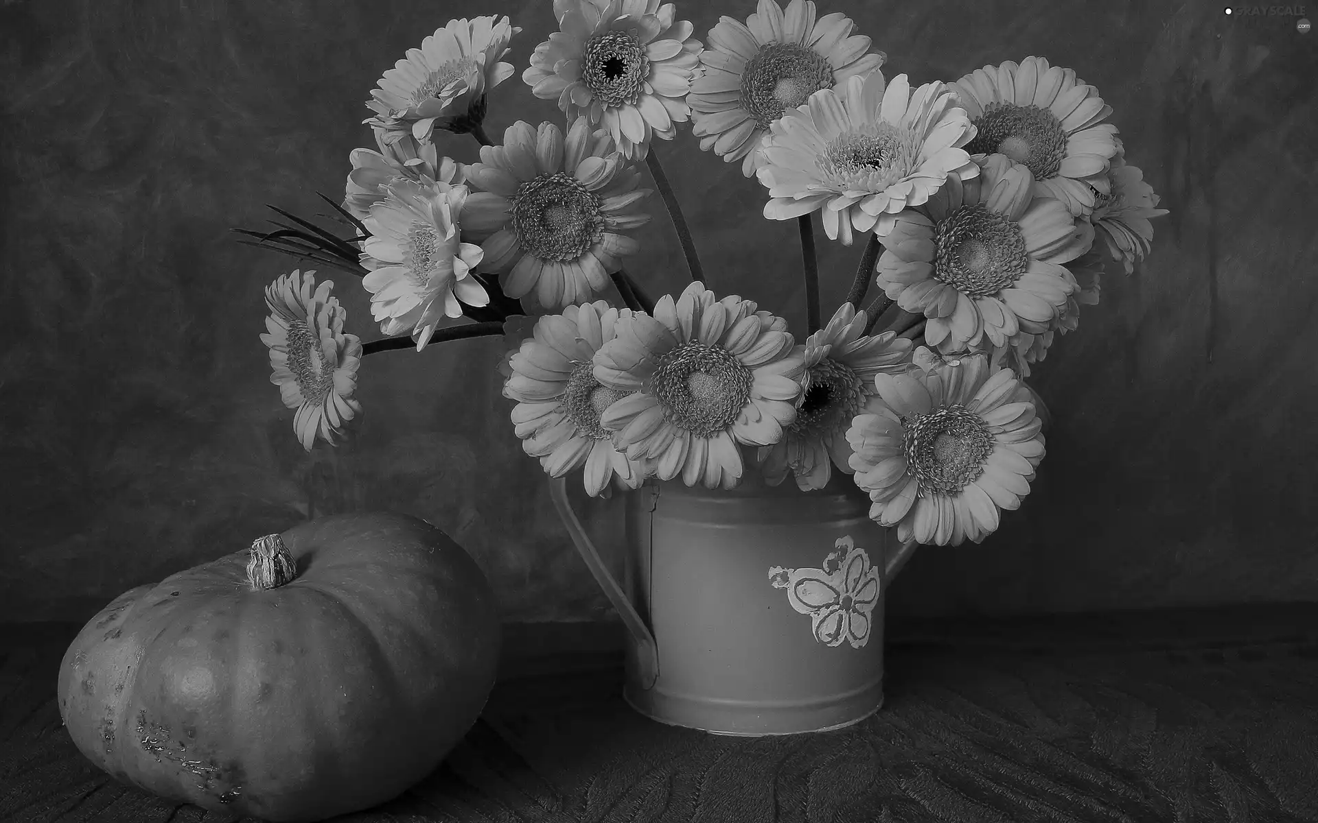 bouquet, pumpkin, composition, Gerbers