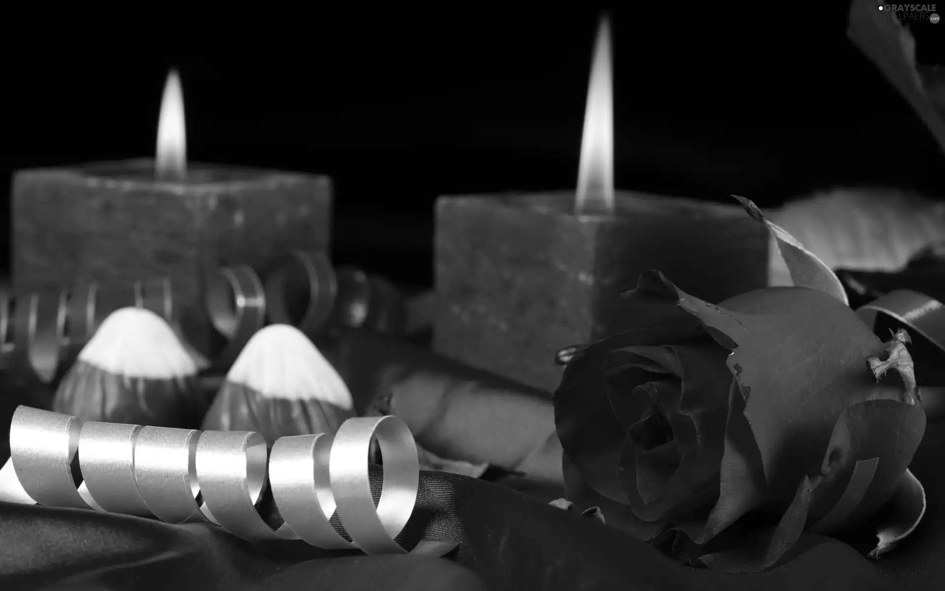 composition, rose, Valentine
