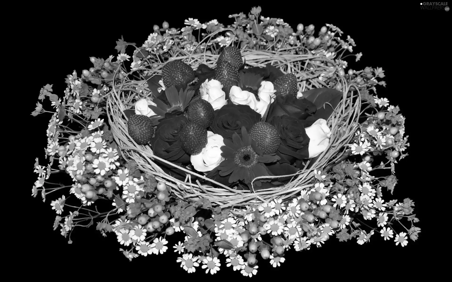 strawberries, camomiles, composition, basket