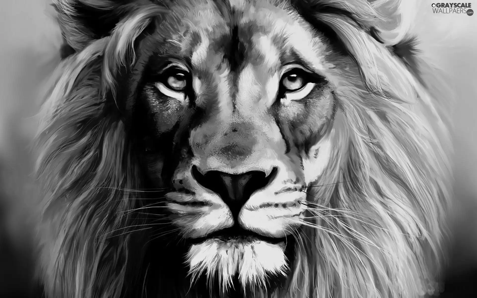 grayscale-computer-lion-graphics-1920x1200
